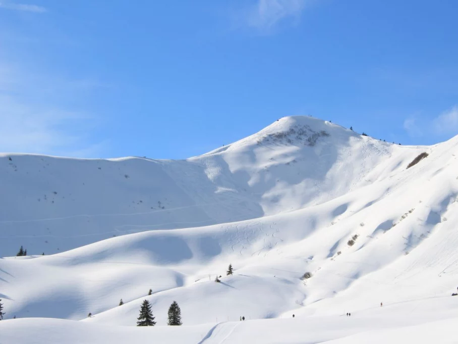 In der Senke macht der Weg eine Schlaufe und führt zurück zur Hörnerbahn Riedberger Horn - Hörnerdörfer im Allgäu