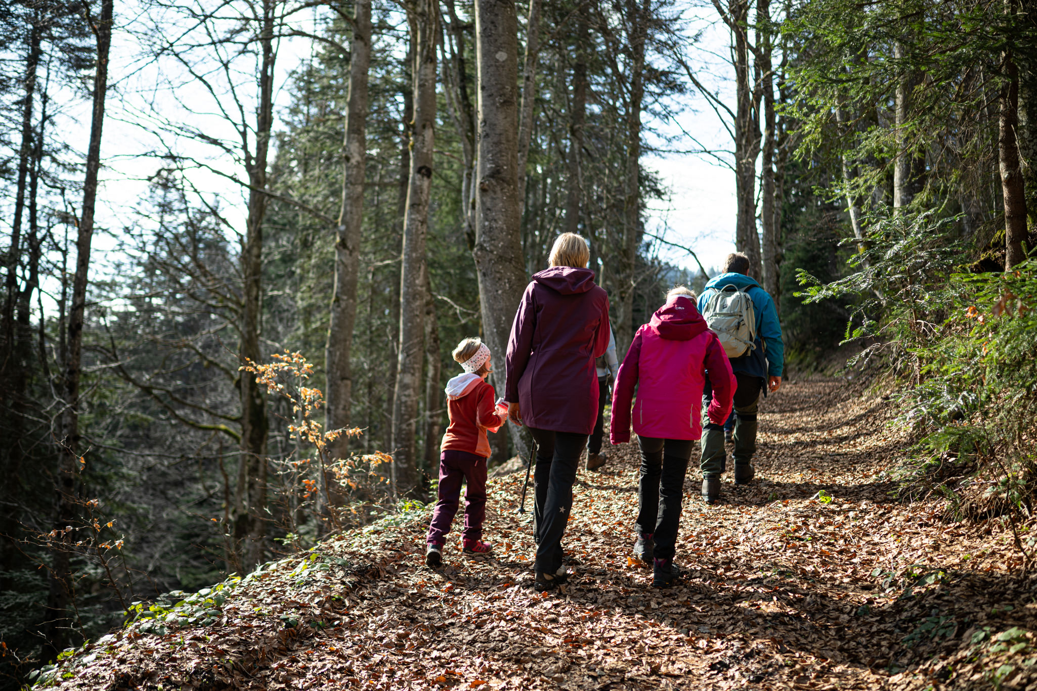 Familie wandert durch sonnigen Herbst- oder Winterwald ohne Schnee