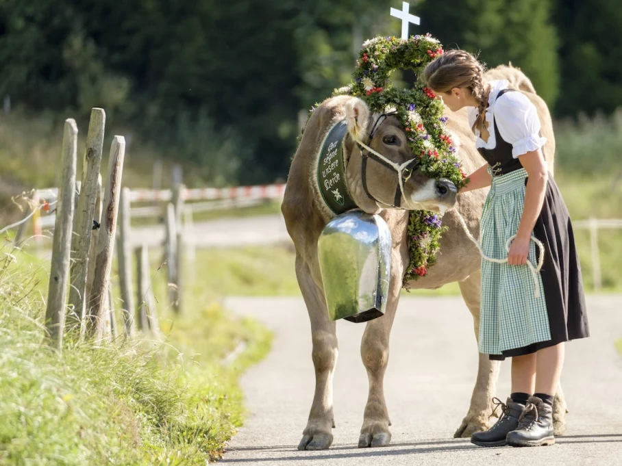 Kranzrind mit Älplerin Kranzrind mit Älplerin - Hörnerdörfer im Allgäu