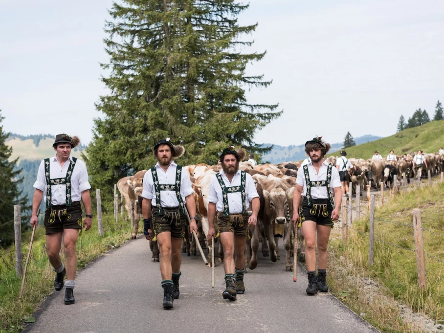 Viehscheid der Mittelalpe - Hörnerdörfer im Allgäu