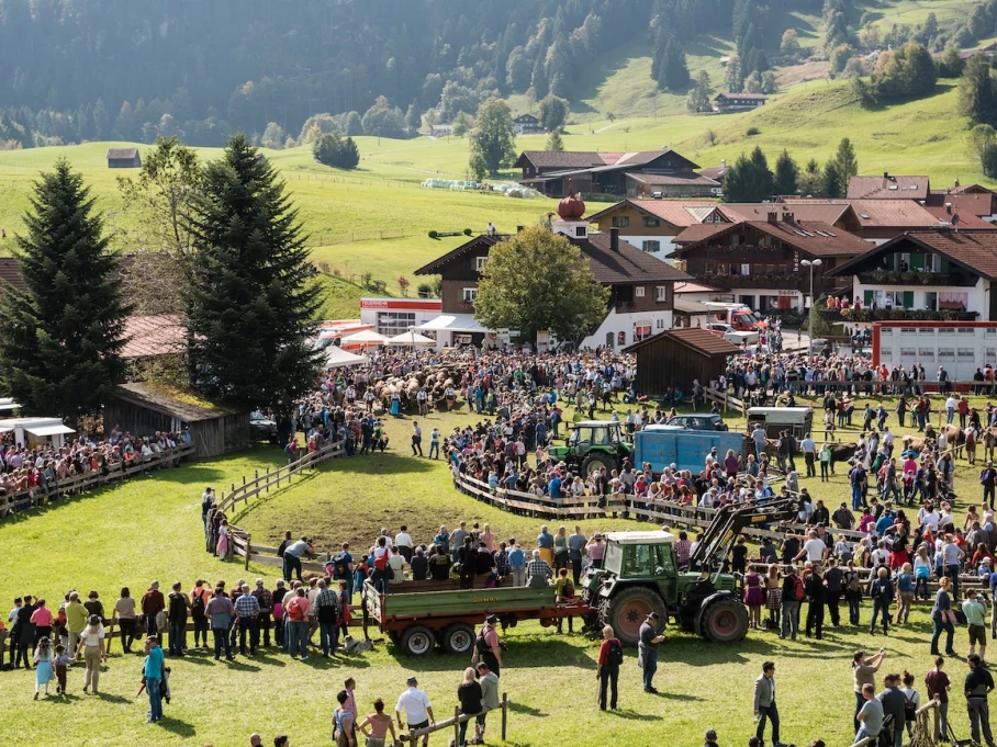 Der Viehscheidplatz in Obermaiselstein - Hörnerdörfer im Allgäu