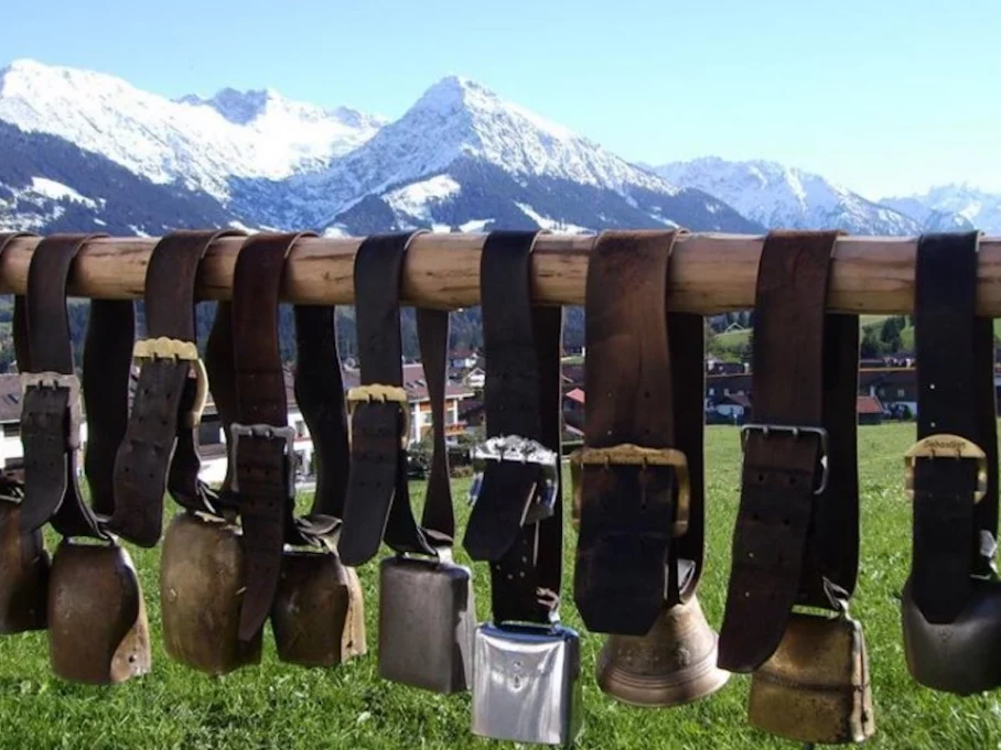 Weidschellen Viehscheid - Hörnerdörfer im Allgäu