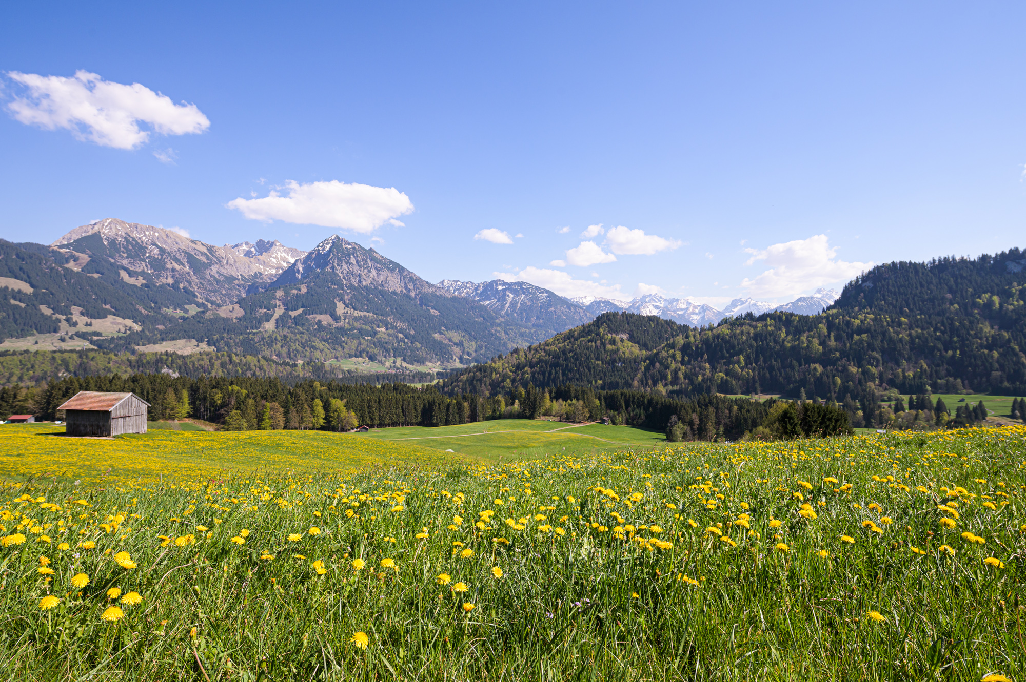Frühlingslandschaft in den Allgäuer Hörnerdörfern
