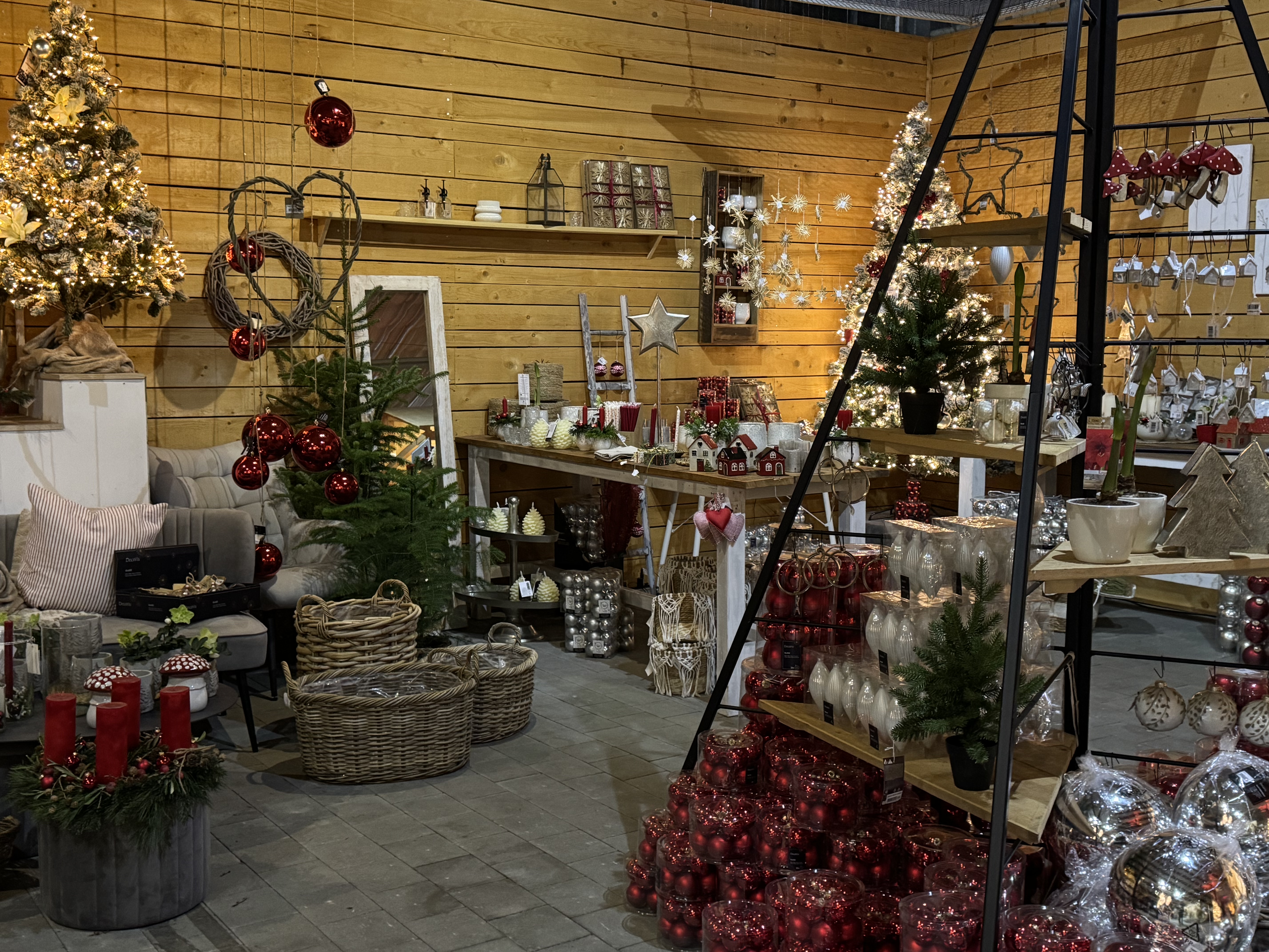 Gärtenerei Frank in Fischen festlich mit Weihnachtsdekorationen geschmückt, beleuchteter Bäume, roter Kugeln und Kerzen. 