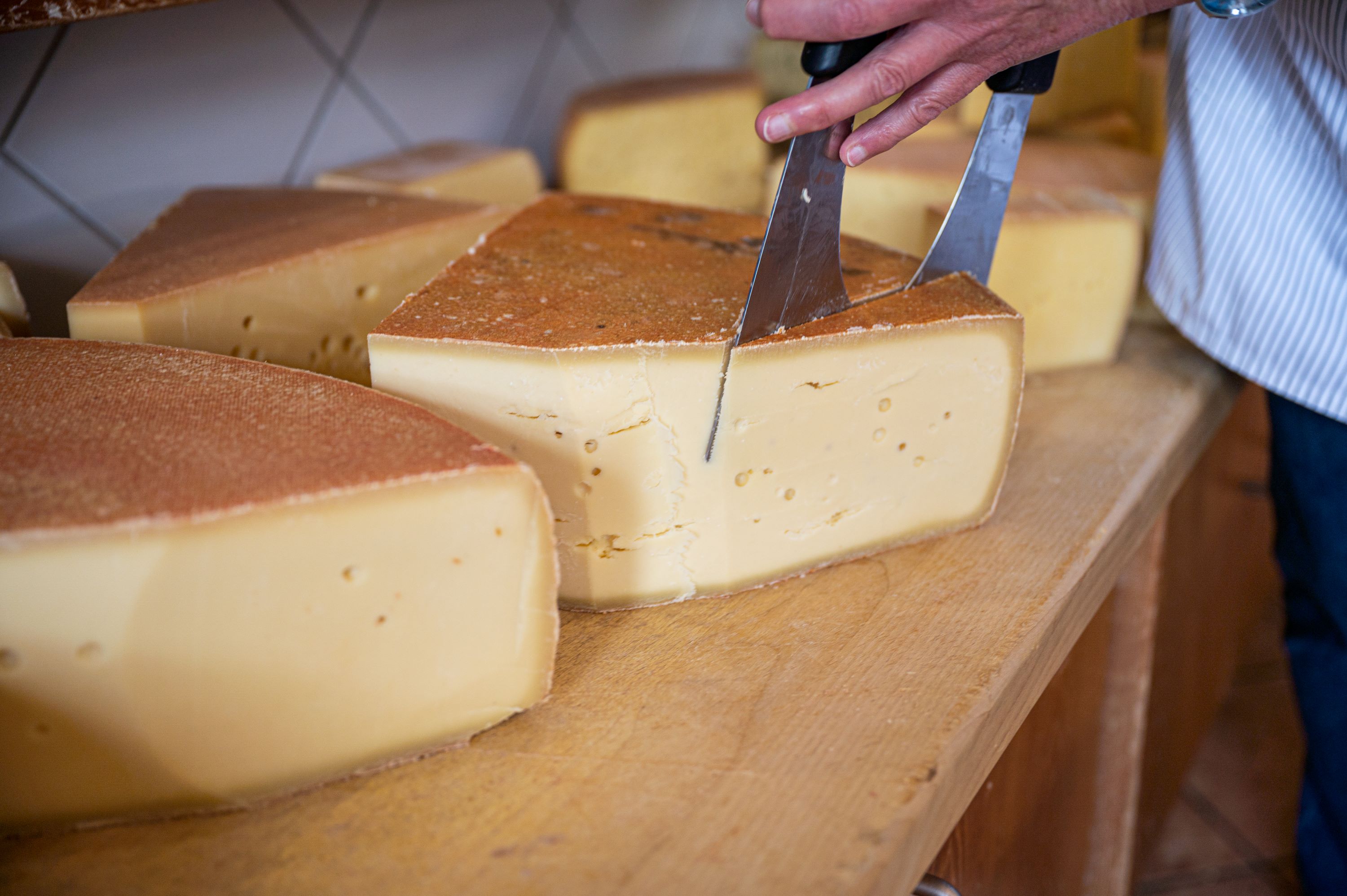 Allgäuer Bergkäse aus den Ofterschwanger Sennereien Würziger Allgäuer Bergkäse aus den Ofterschwanger Sennereien
