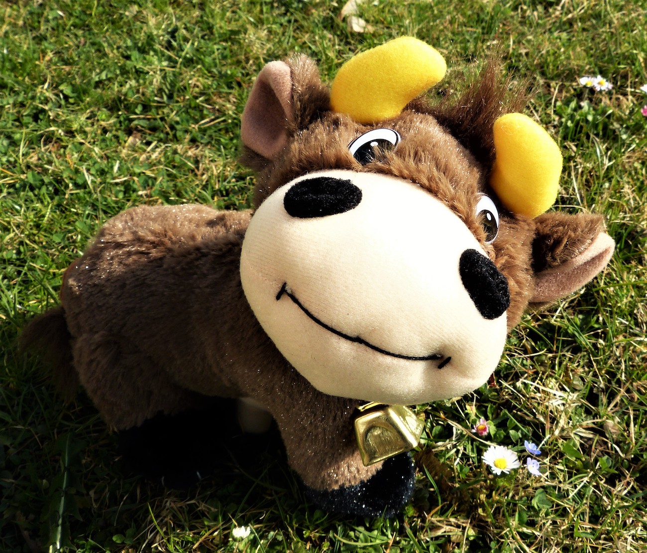 Blogbeitrag von Vroni - Hörnerdörfer im Allgäu