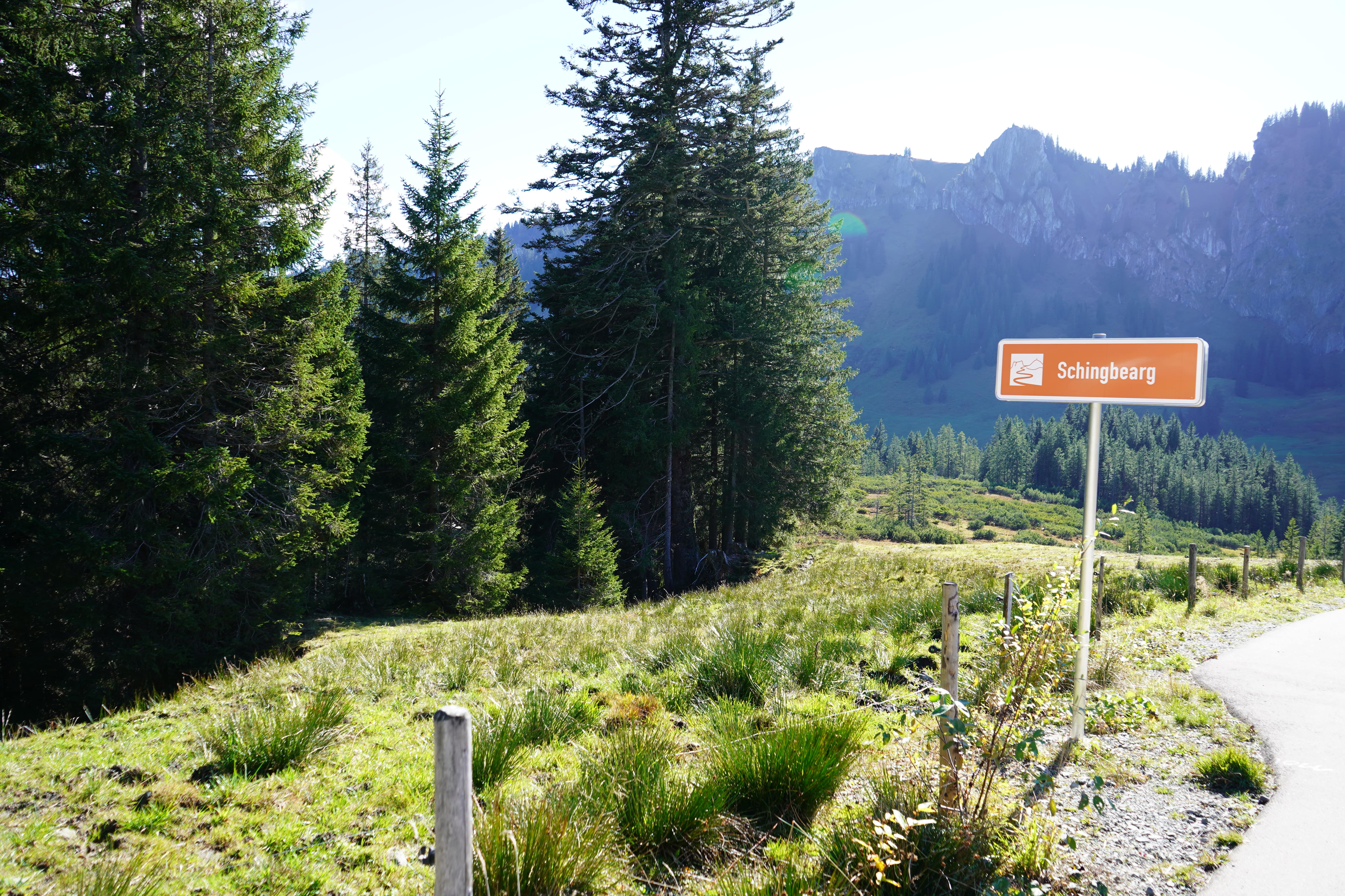 Schingbearg am Riedbergpass - Hörnerdörfer im Allgäu