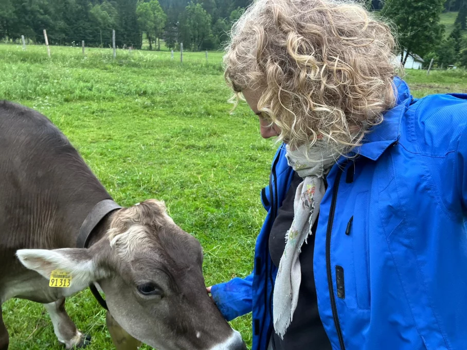 Manche Kühe sind total zutraulich und genießen meine Streicheleinheiten - Hörnerdörfer im Allgäu