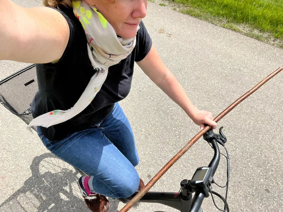 Mit dem E-Bike auf zur Weide :)! Hörnerdörfer im Allgäu