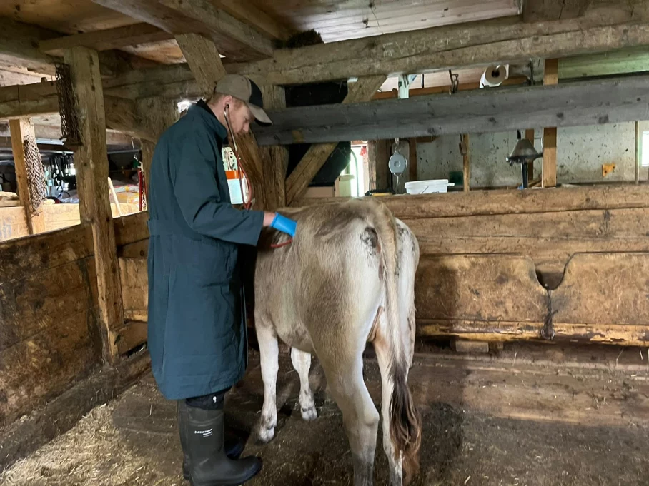 Der Doc diagnostiziert eine Sommergrippe und schafft mit wenigen Spritzen Abhilfe.