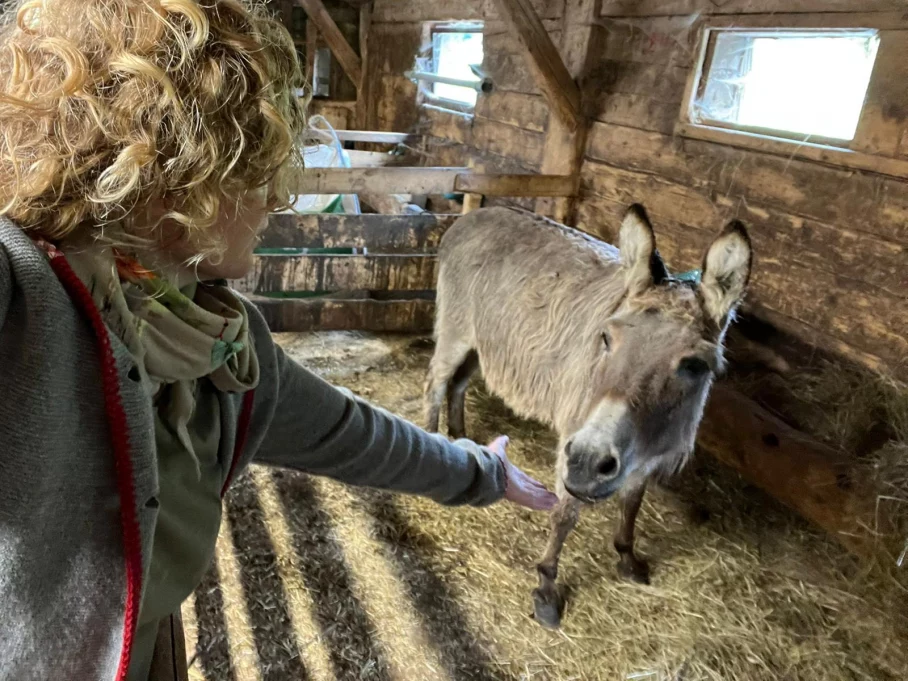 Esel Loni freut sich über den trockenen Stall. Esel Loni freut sich über den trockenen Stall.