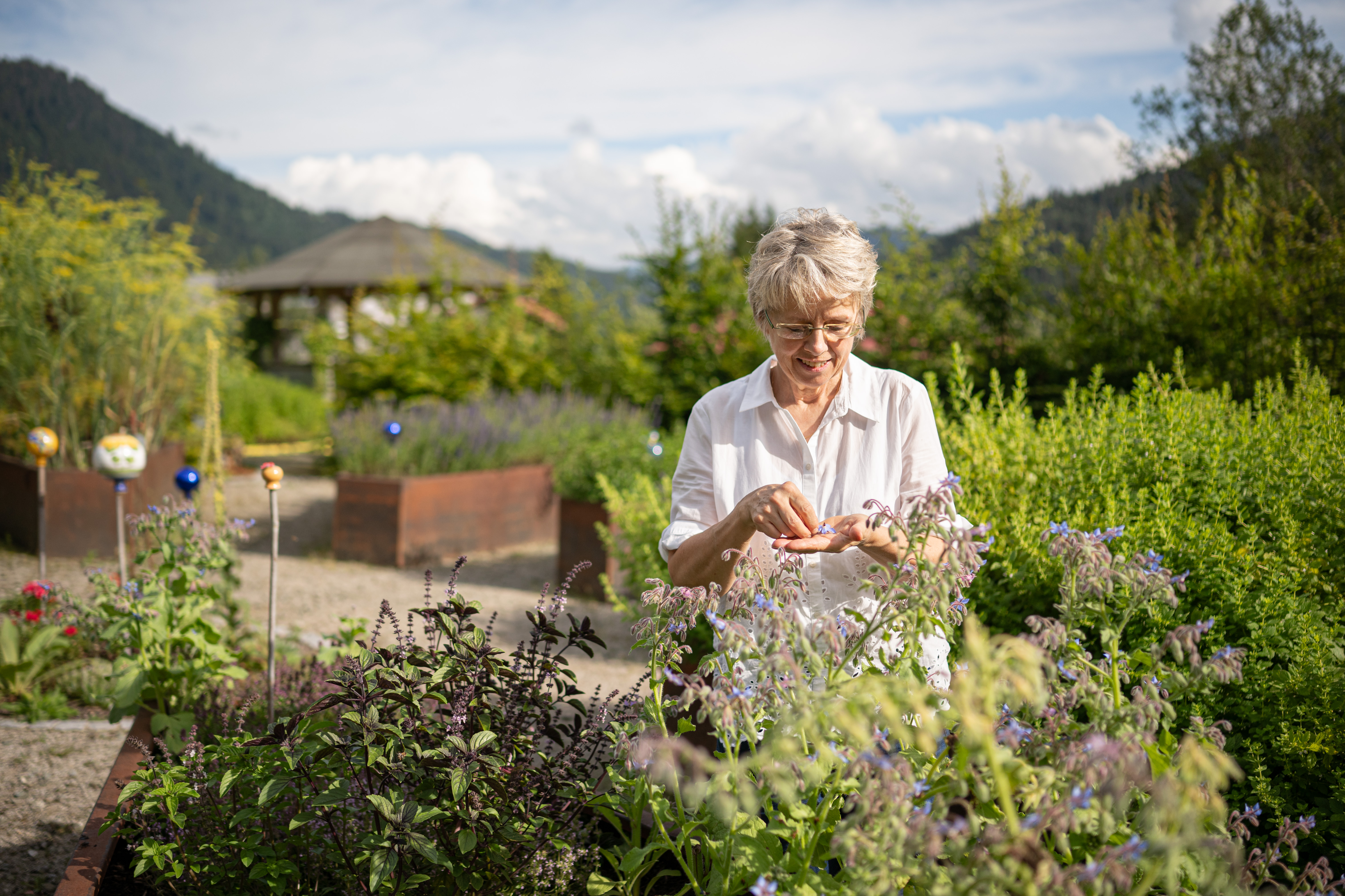 Hörnerdörfer Genuss - Silvia Kienle in ihrem Kräutergarten Hörnerdörfer Genuss - Silvia Kienle in ihrem Kräutergarten