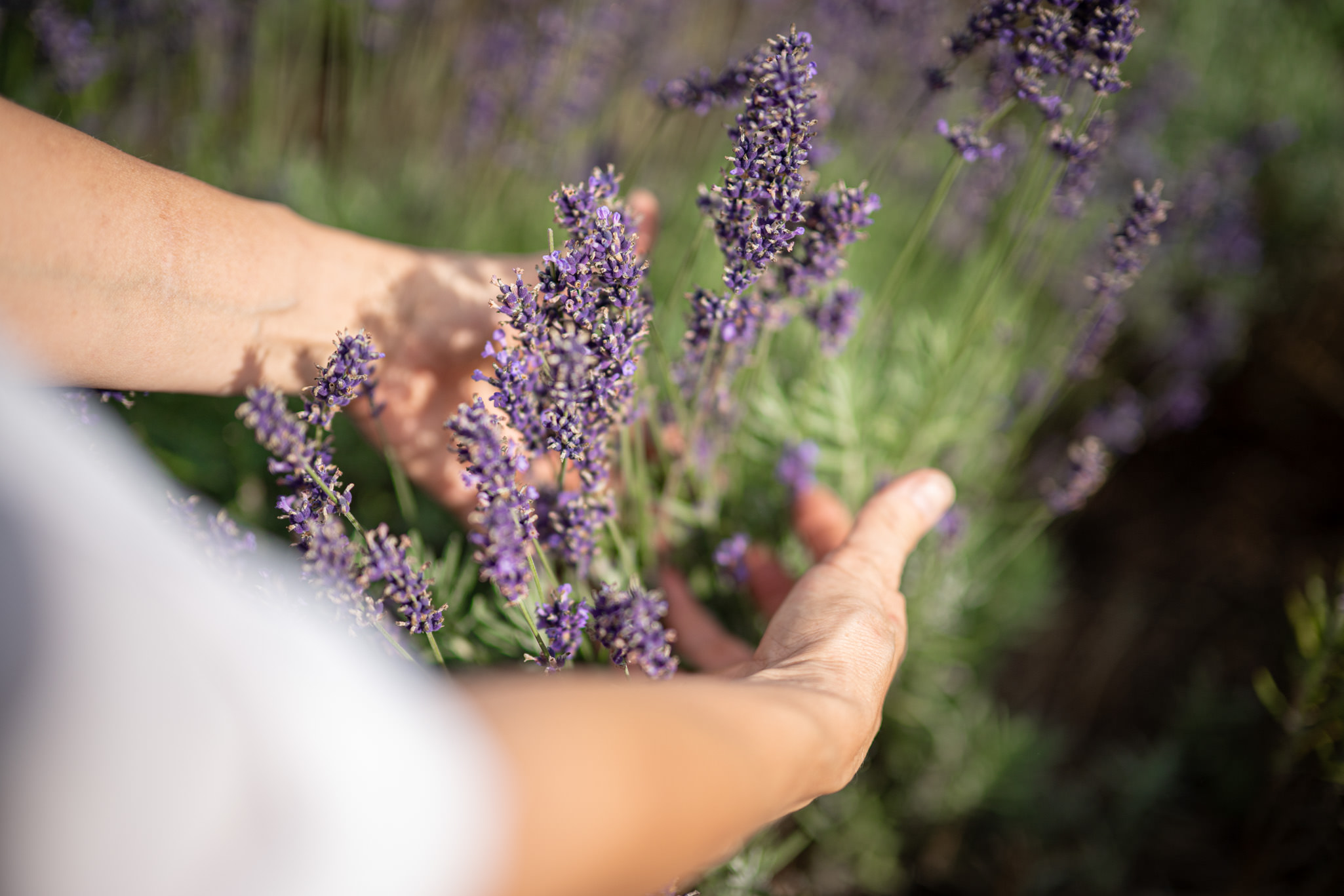Hörnerdörfer Genuss - Silvia Kienles Kräutergarten in Balderschwang