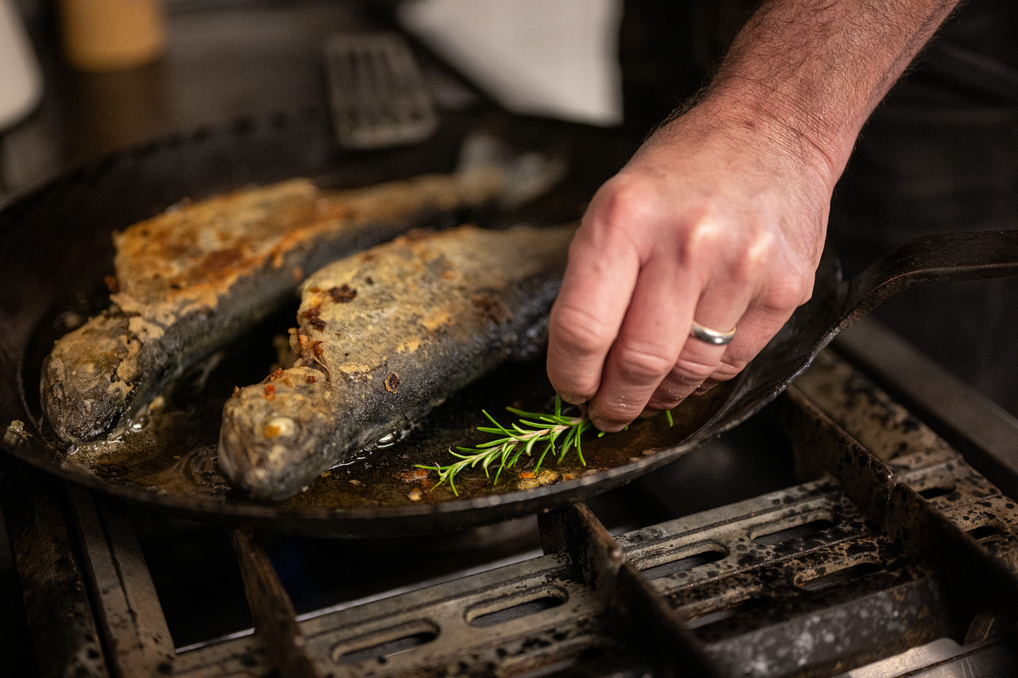 Frische Forellen aus dem Forellenbach in Fischen Fangfrische Forellen aus dem Forellenbach in Fischen im Allgäu