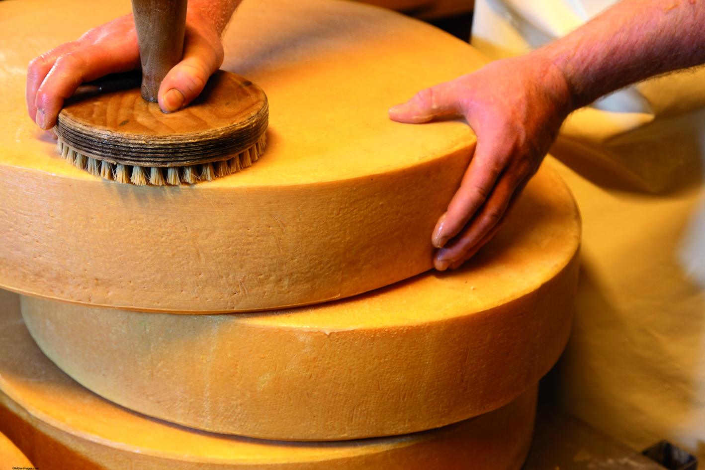 Bergkäse aus der Bergbauern-Sennerei Hüttenberg bei Ofterschwang Bergkäse aus der Bergbauern-Sennerei Hüttenberg bei Ofterschwang
