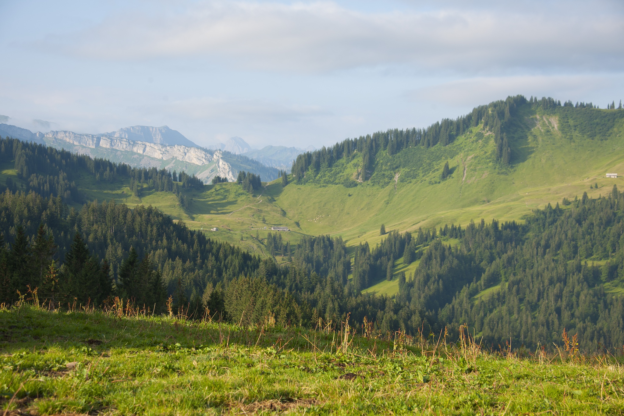 Aussicht am Gelbhansekopf bei Balderschwang
