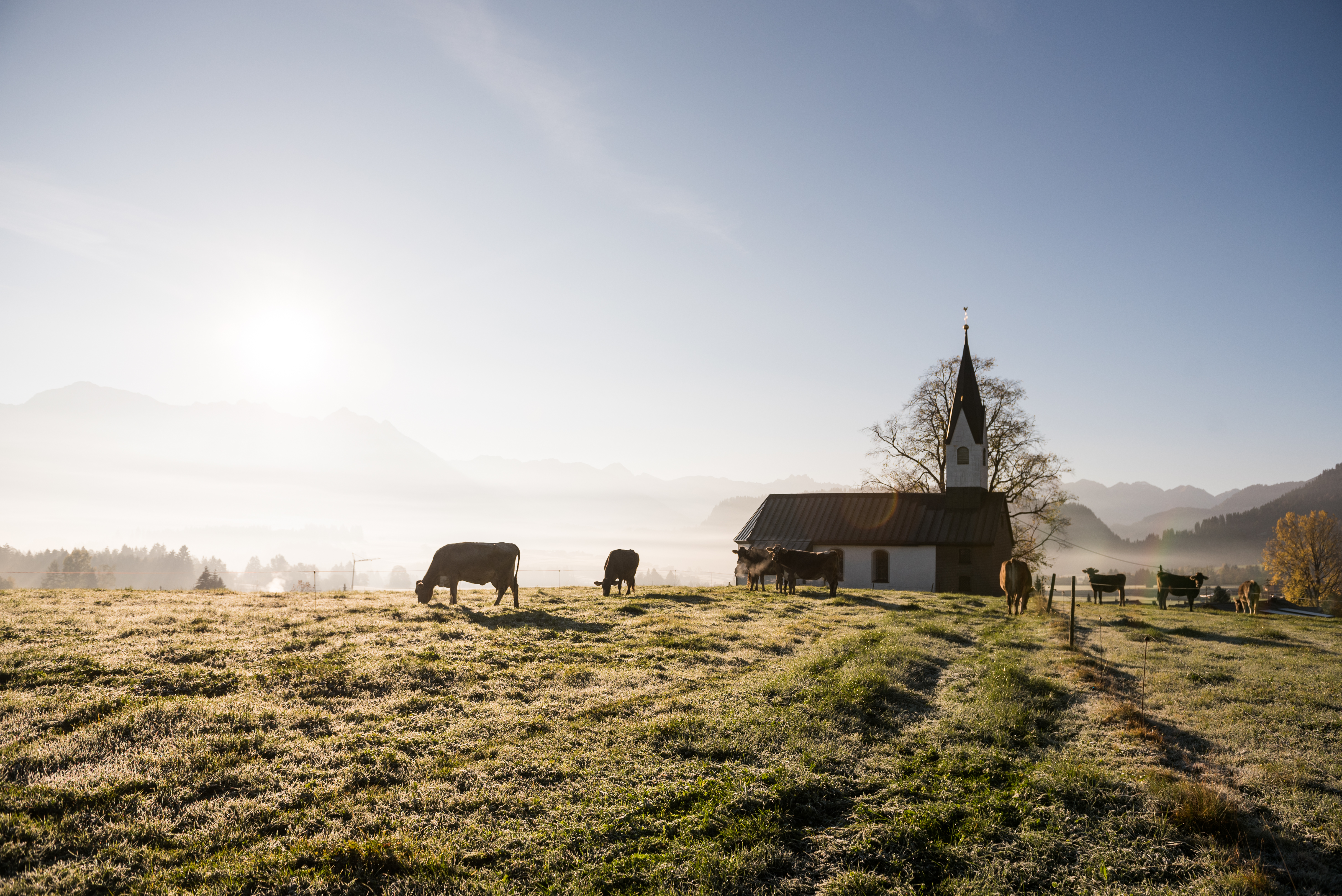 Kapelle in Bolsterlang in herbstlicher Stimmung
