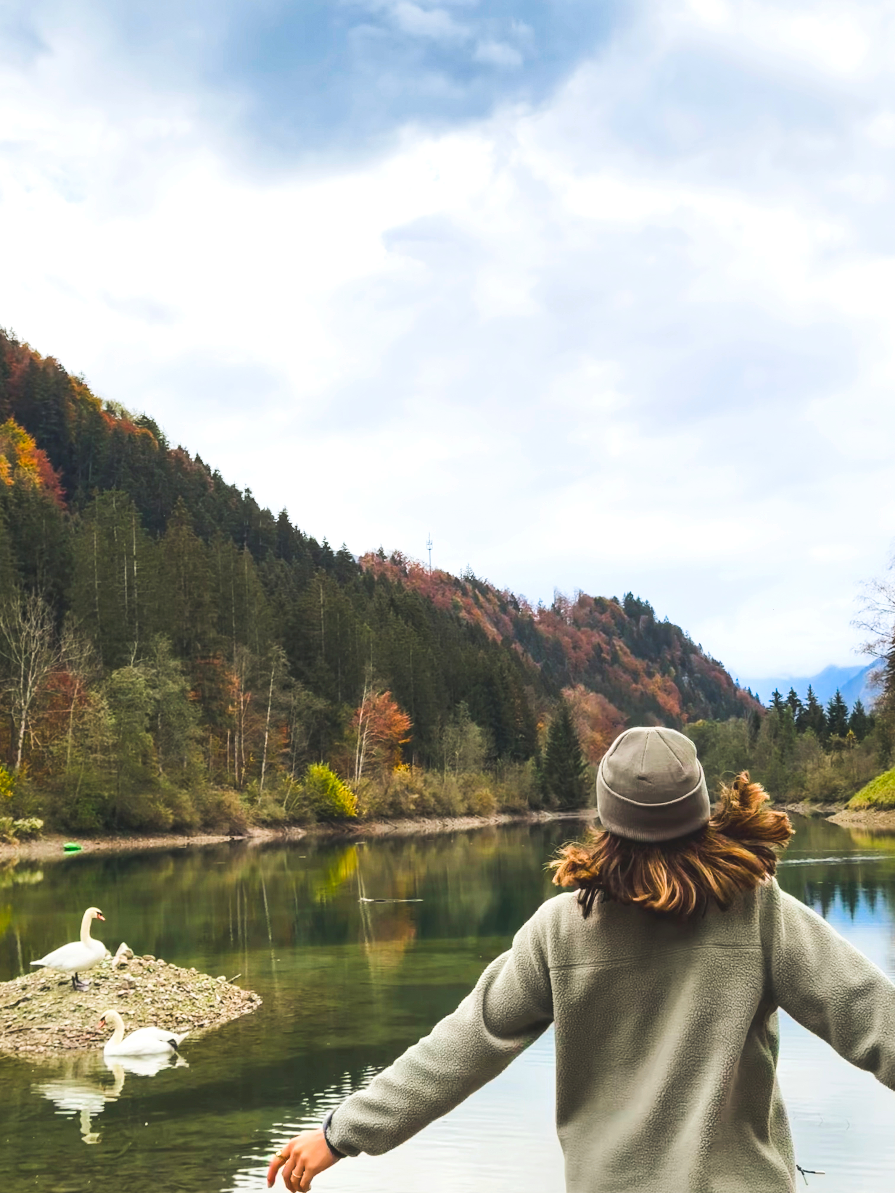 Eine Person steht mit ausgebreiteten Armen am Auwaldsee mit Schwänen, dahinter ein bunter Herbstwald unter bewölktem Himmel. 