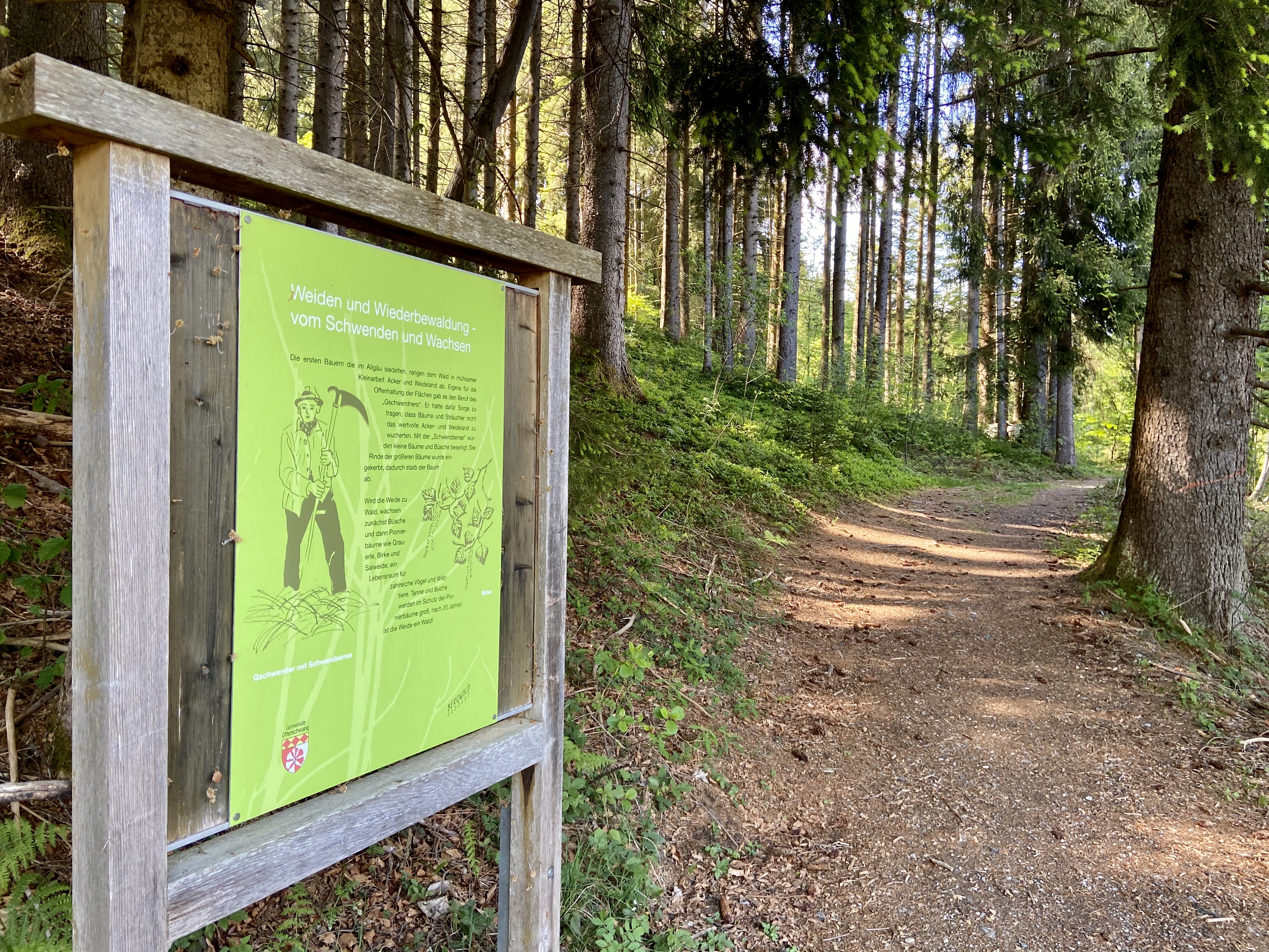 Infotafel am Naturlehrpfad Infotafel am Naturlehrpfad im Wald in Ofterschwang