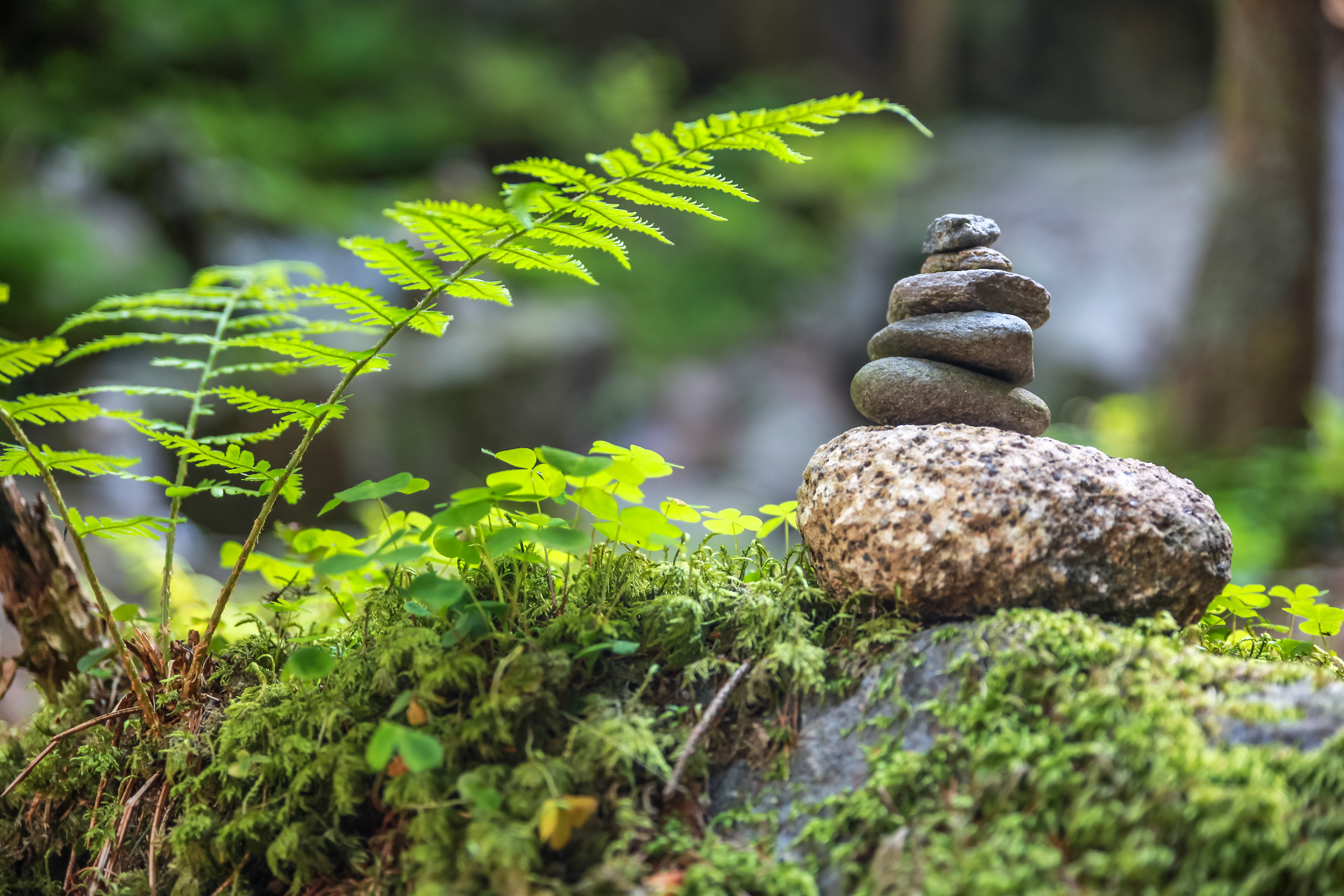 Waldbaden - Achtsamkeit in den Hörnerdörfern