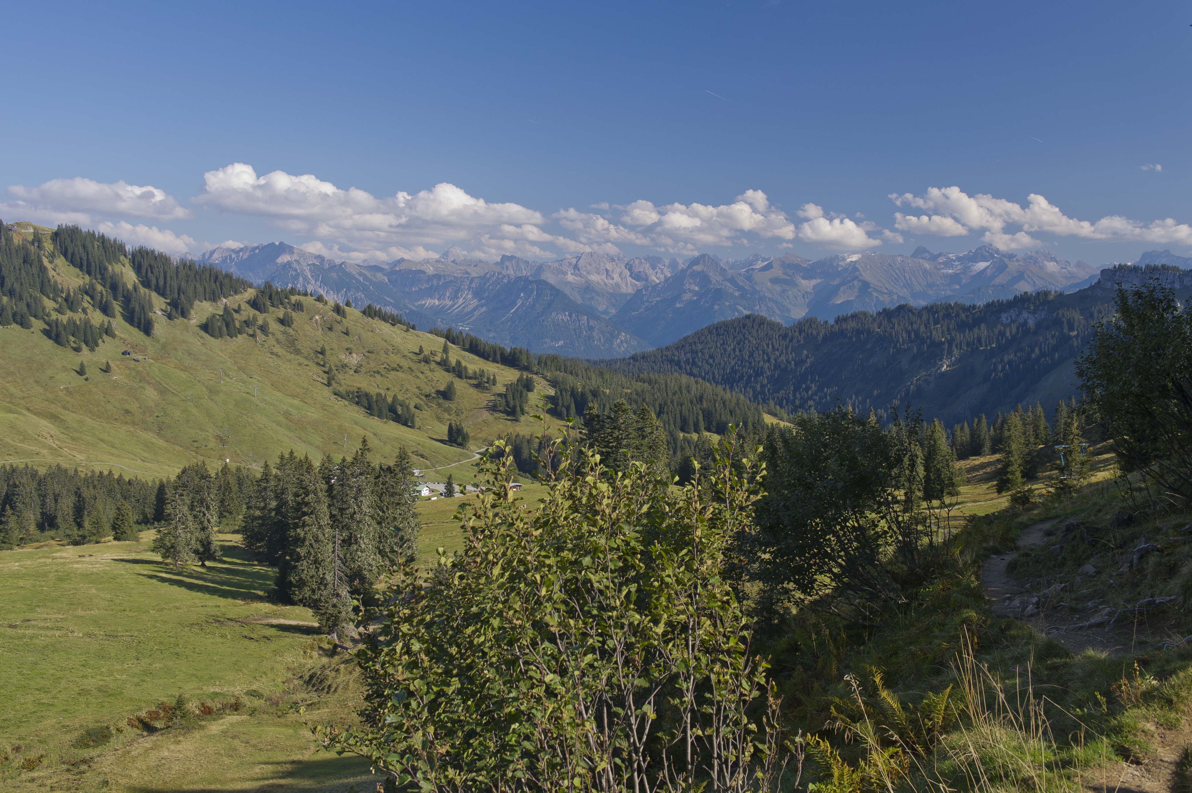 Wandertrilogie Allgäu - Wandern durch die Alpgärten der Hörnerdörfer
