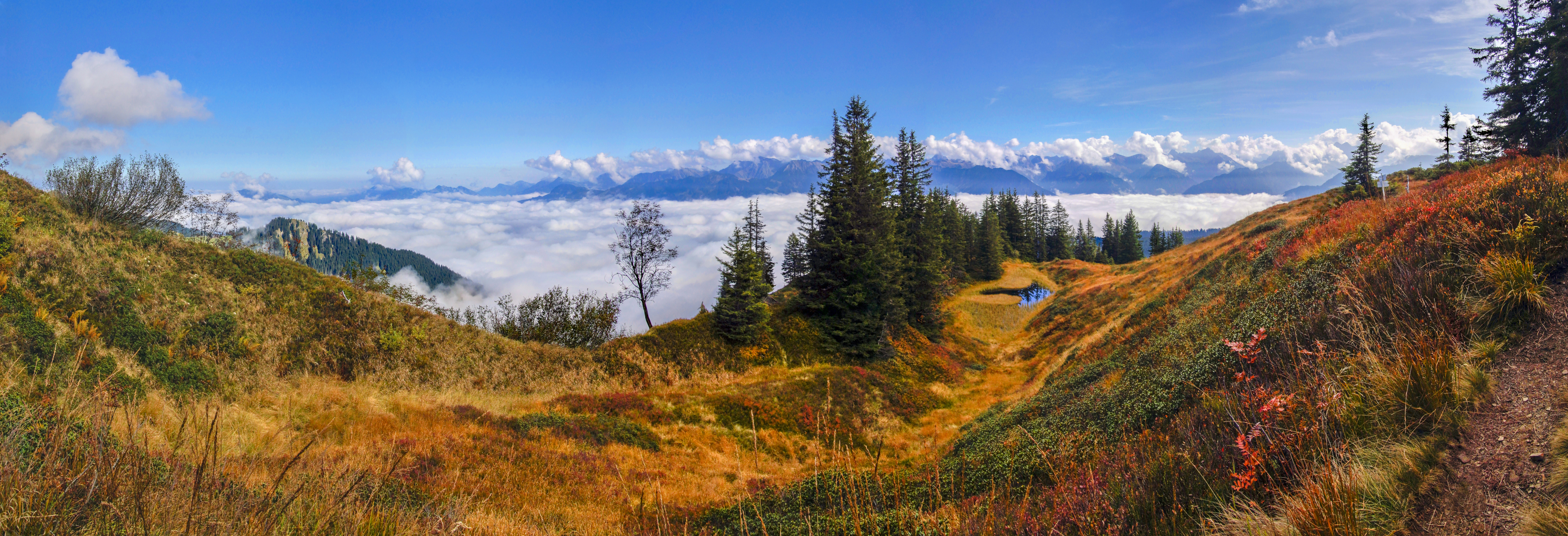 Wannenkopf im Naturpark in den Hörnerdörfern im Allgäu