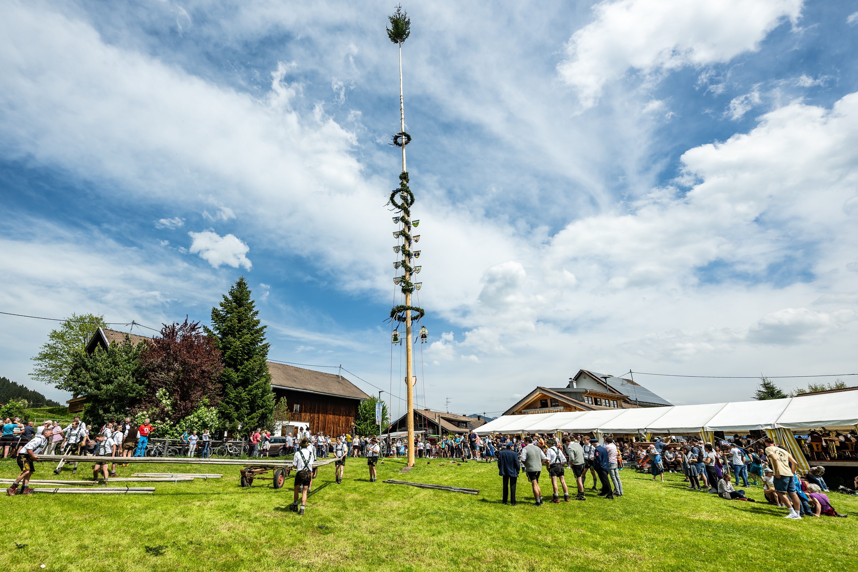 Maibaum aufstellen in Hüttenberg in den Hörnerdörfern Maibaum in Hüttenberg bei Ofterschwang ist aufgestellt