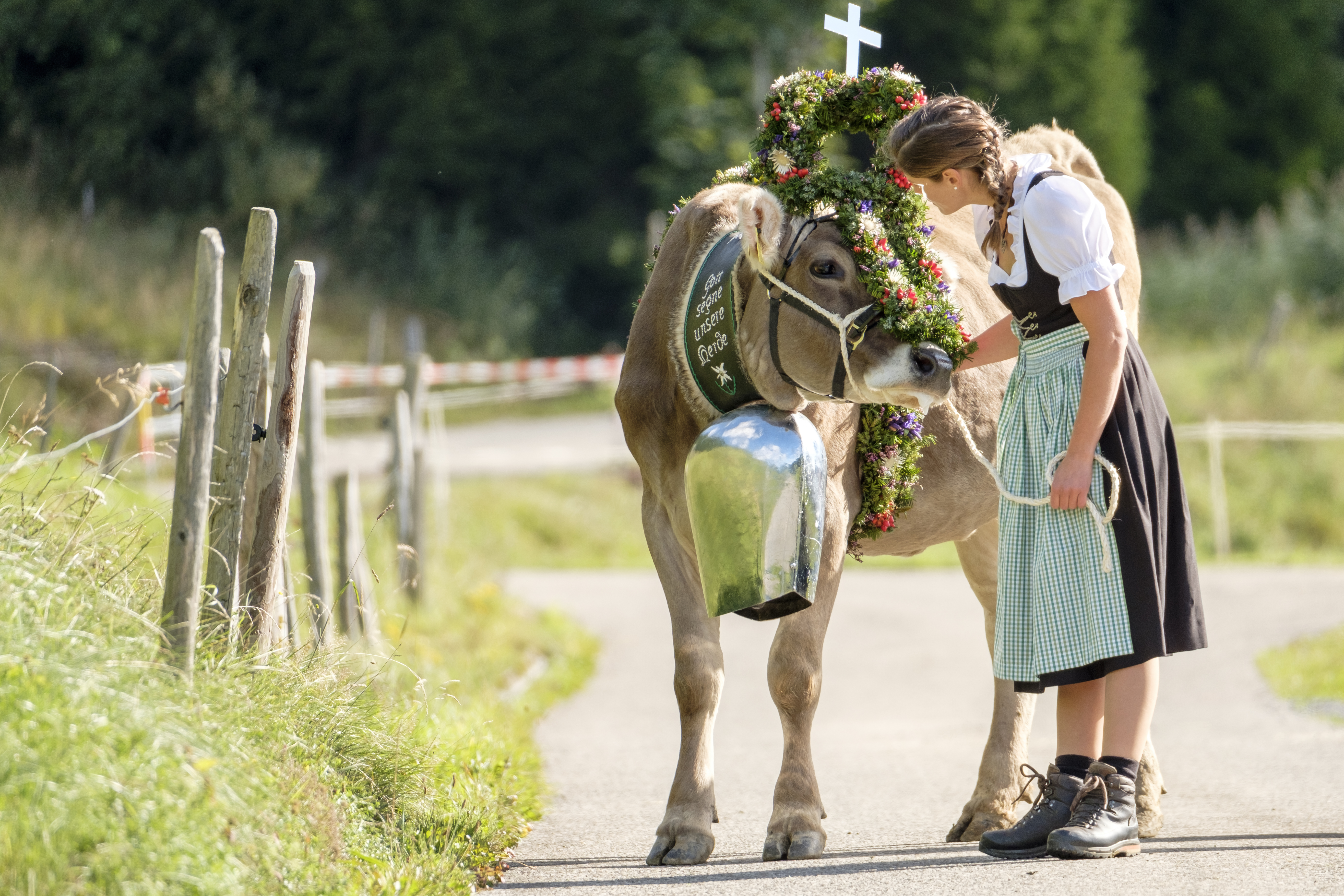 Viehscheid im September im Allgäu