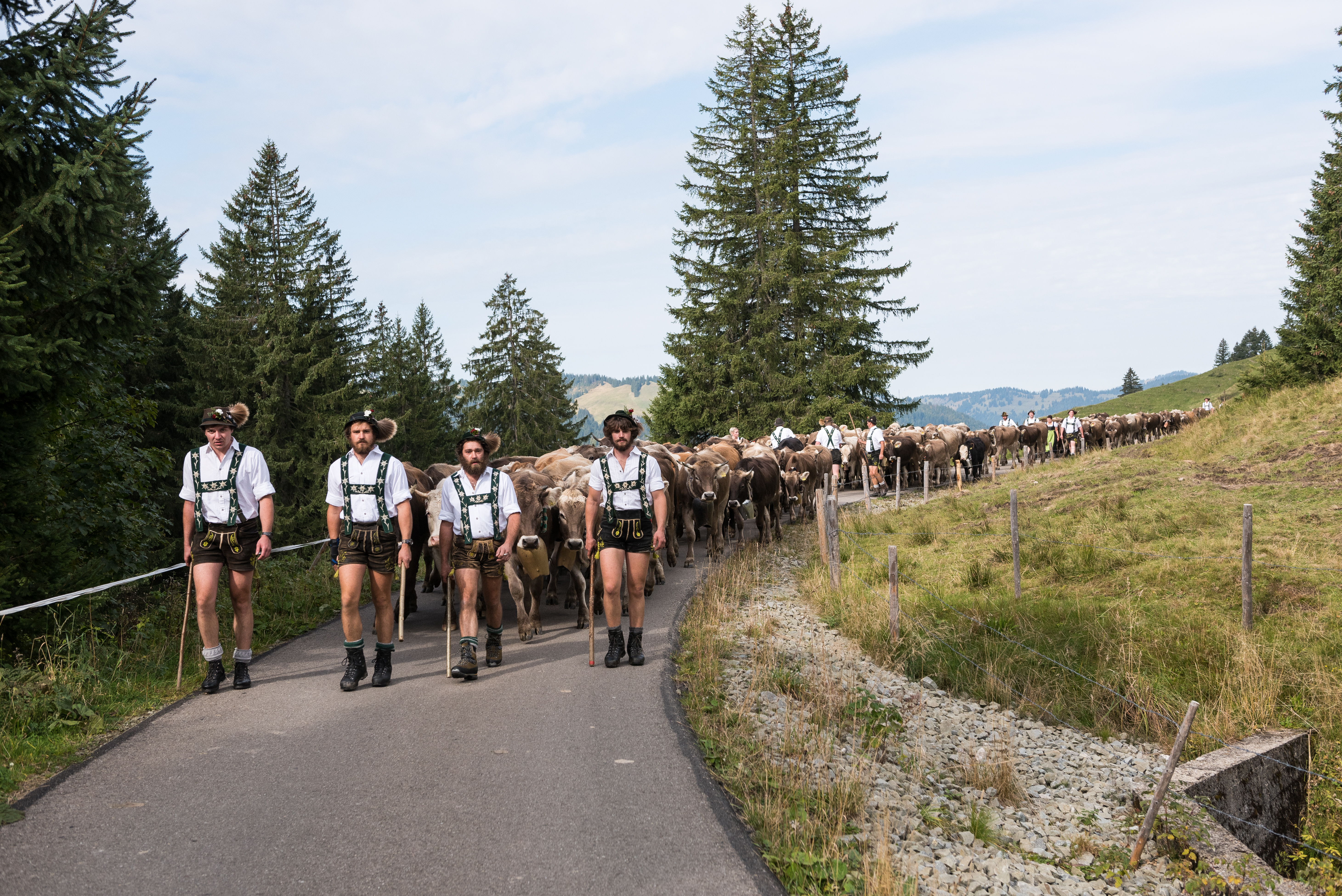 Der Viehscheid in Obermaiselstein gilt als Abschluss und Höhepunkt des Alpsommers - Hörnerdörfer im Allgäu