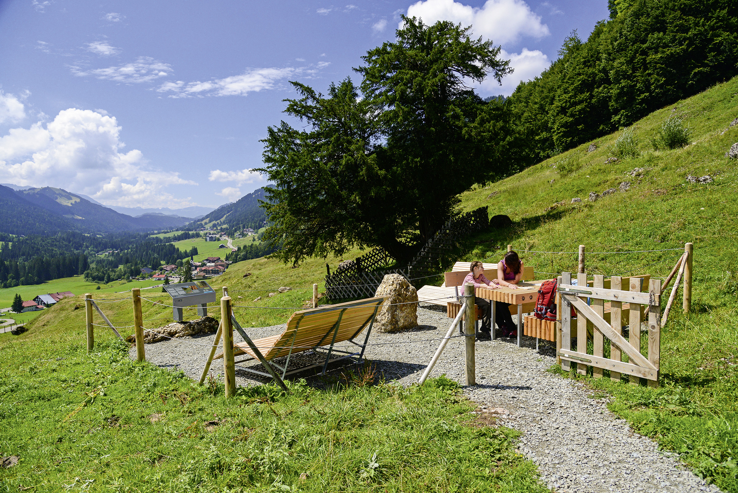 Wohl der älteste Baum Deutschlands, die Alte Eibe bei Balderschwang - Hörnerdörfer im Allgäu