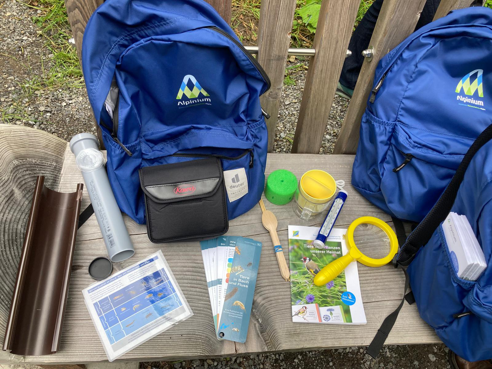 Zwei Forscherrucksäcke auf einer Holzbank. Daneben liegen Lupen, Flasche und weitere Forscherutensilien bereit.