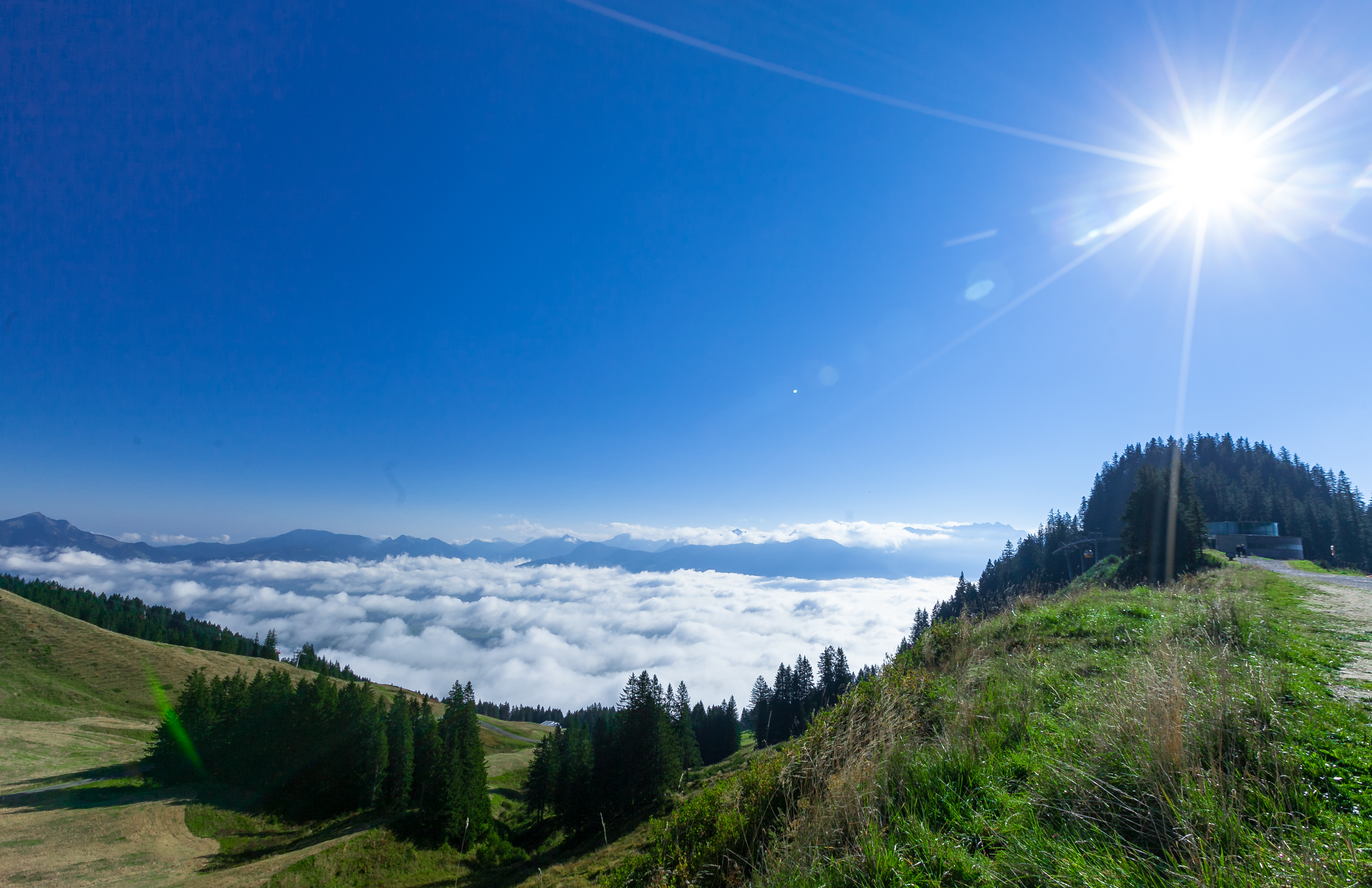 Sonniger Blick von einem grünen Berghang auf ein dichtes Wolkenmeer im Tal - Obheiter im Allgäu. 