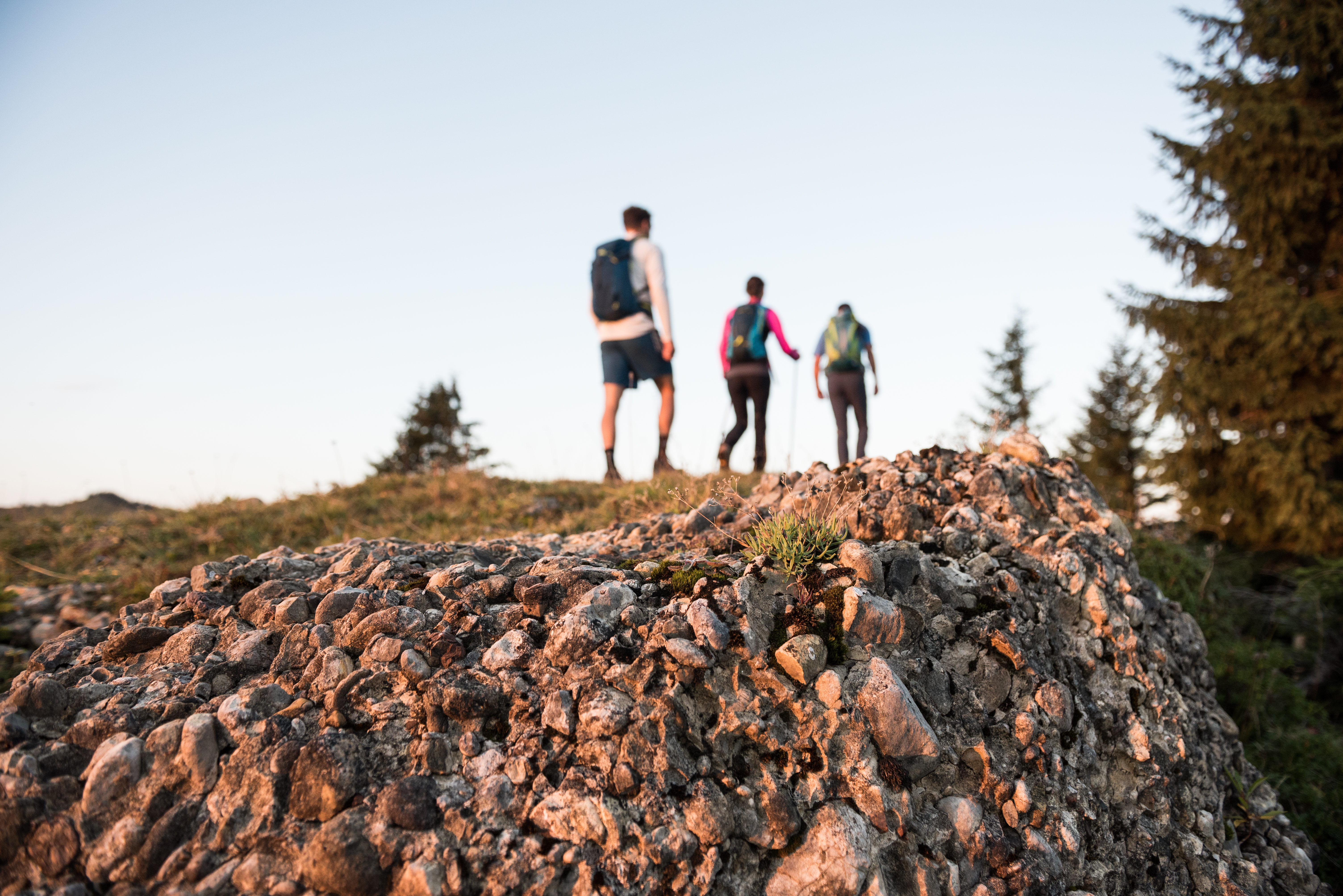Auf Wanderung im Herbst durch den Naturpark Nagelfluhkette - Hörnerdörfer im Allgäu