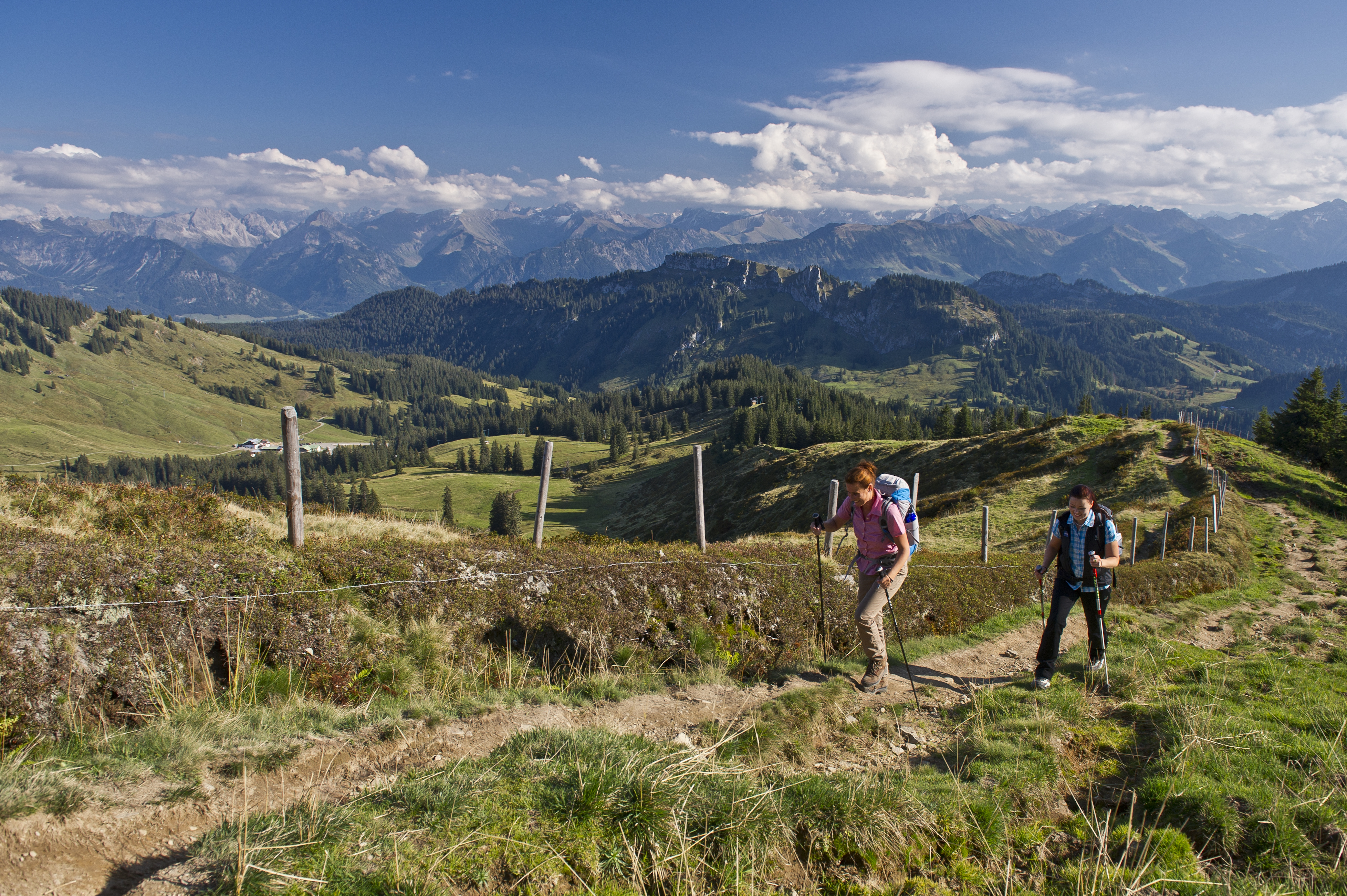 Wandern auf der Wandertrilogie Allgäu - Alpgärten Hörnerdörfer