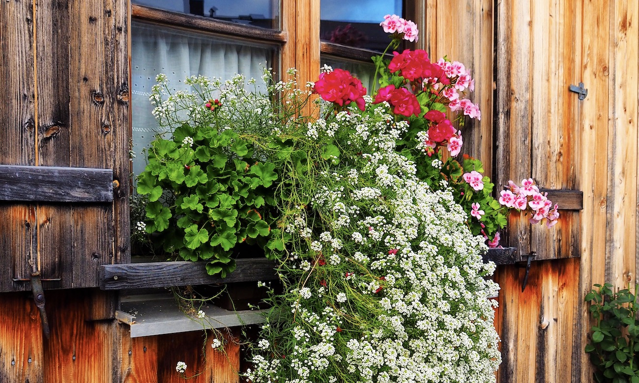 Auf die Minute Urlaubszeit perfekt genutzt in den Hörnerdörfern