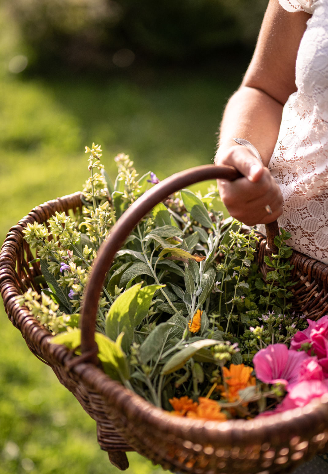 Korb mit Kräuter - Vorschaubild Hörnerdörfer Magazin Mai 2025