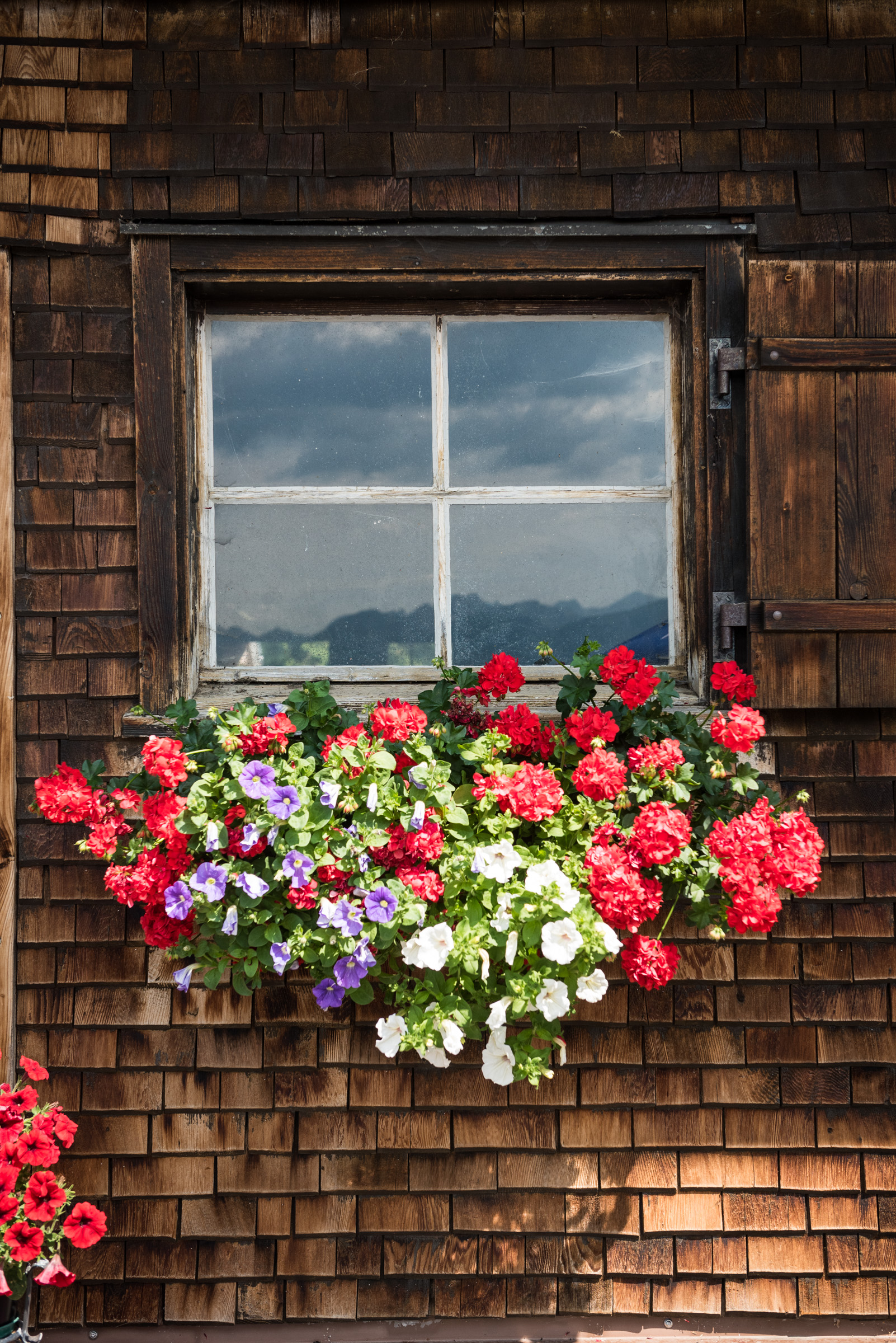 Fenster der Mittelalpe Obermaiselstein: bunte Geranien im Kasten, Landschaft spiegelt sich im Glas.