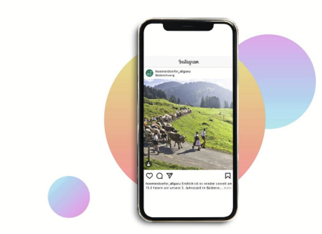 Handy mit Ansicht eines Social Media Kanals der Hörnerdörfer.