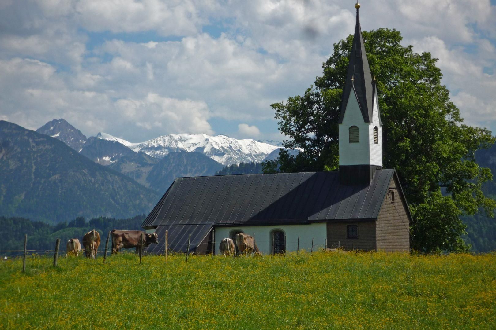 Kleine Kapelle mit spitzem Turm auf Blumenwiese, Kühe grasen davor, Alpen im Hintergrund.
