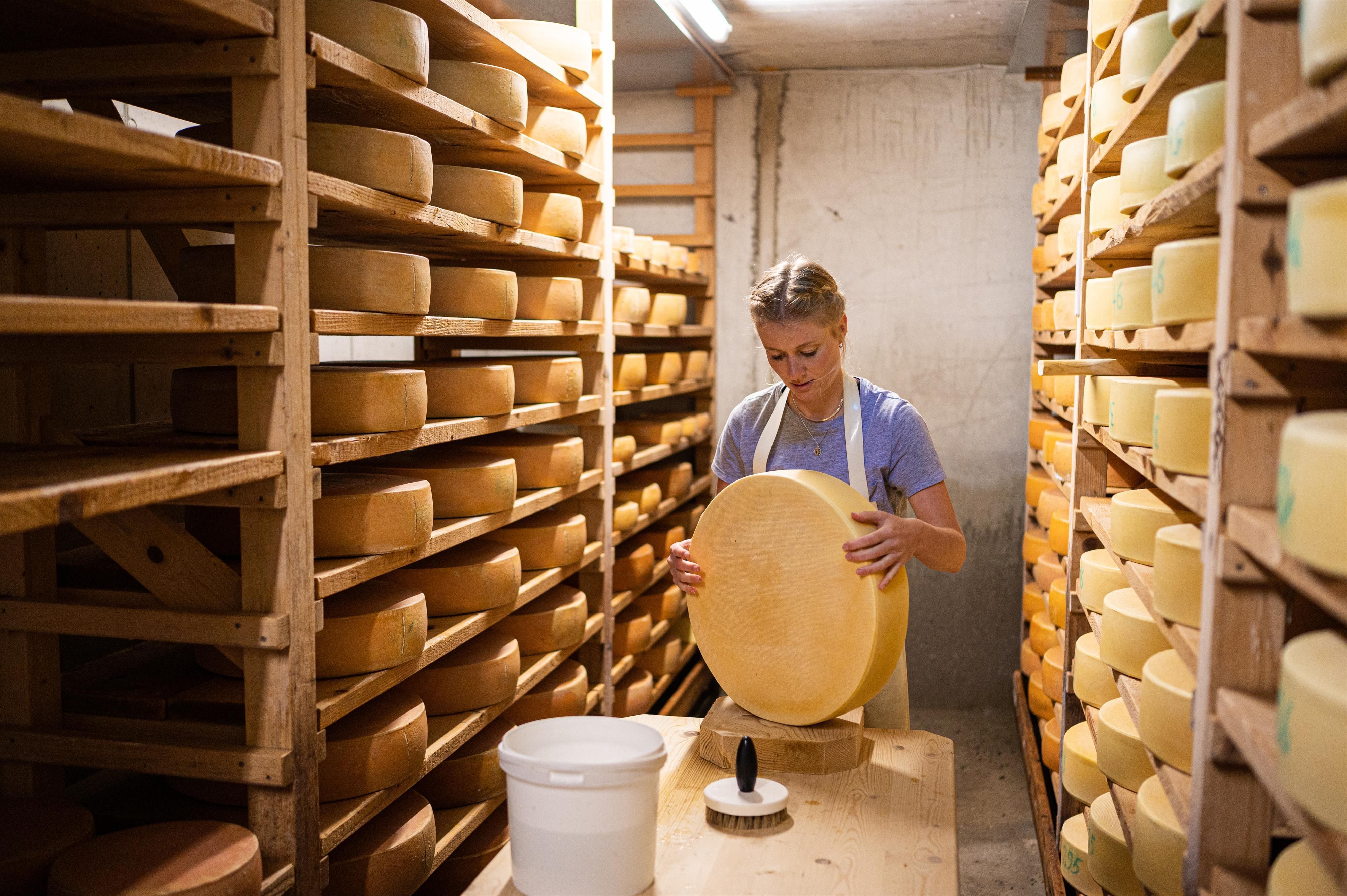Eine Frau hantiert mit einem großen Laib Käse. Regale voller weiterer Käselaibe reifen im Hintergrund. Ein Eimer und eine Bürste stehen bereit.