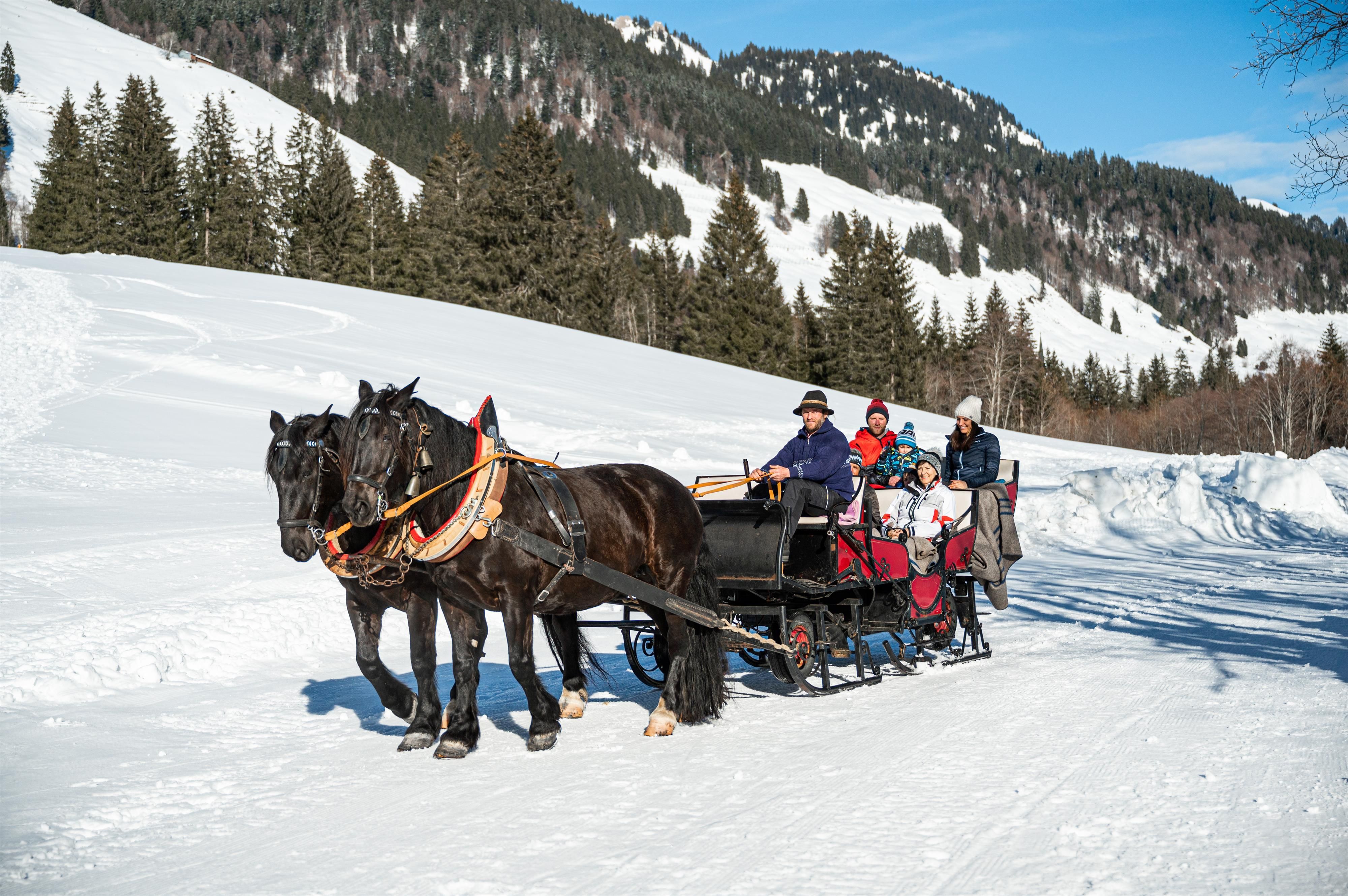 Zwei kräftige, dunkle Pferde ziehen einen offenen Pferdeschlitten durch eine verschneite Winterlandschaft.