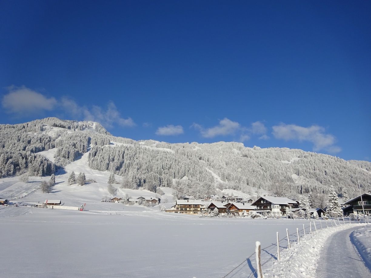 Bolsterlang im Neuschnee