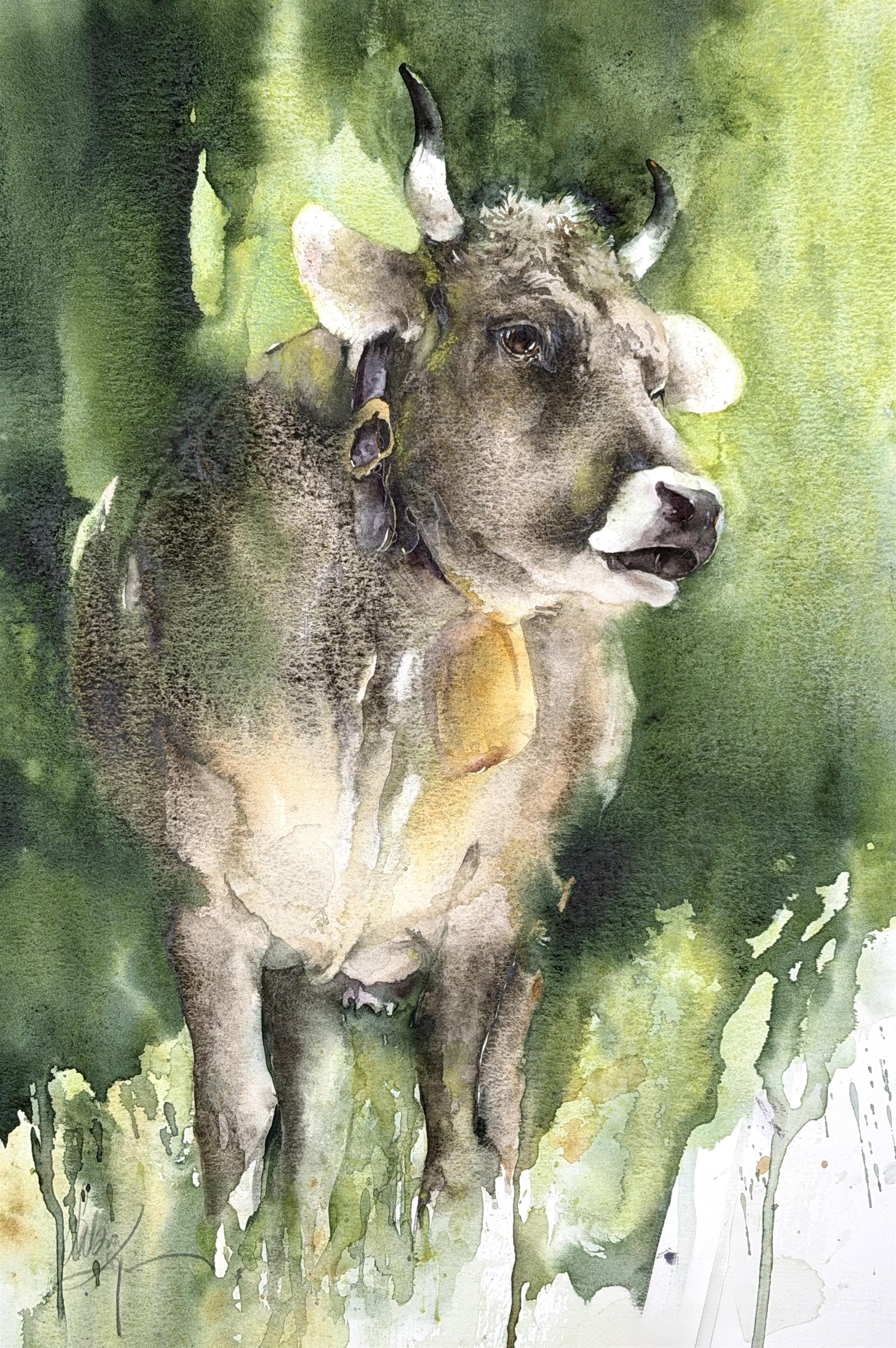 Braunvieh