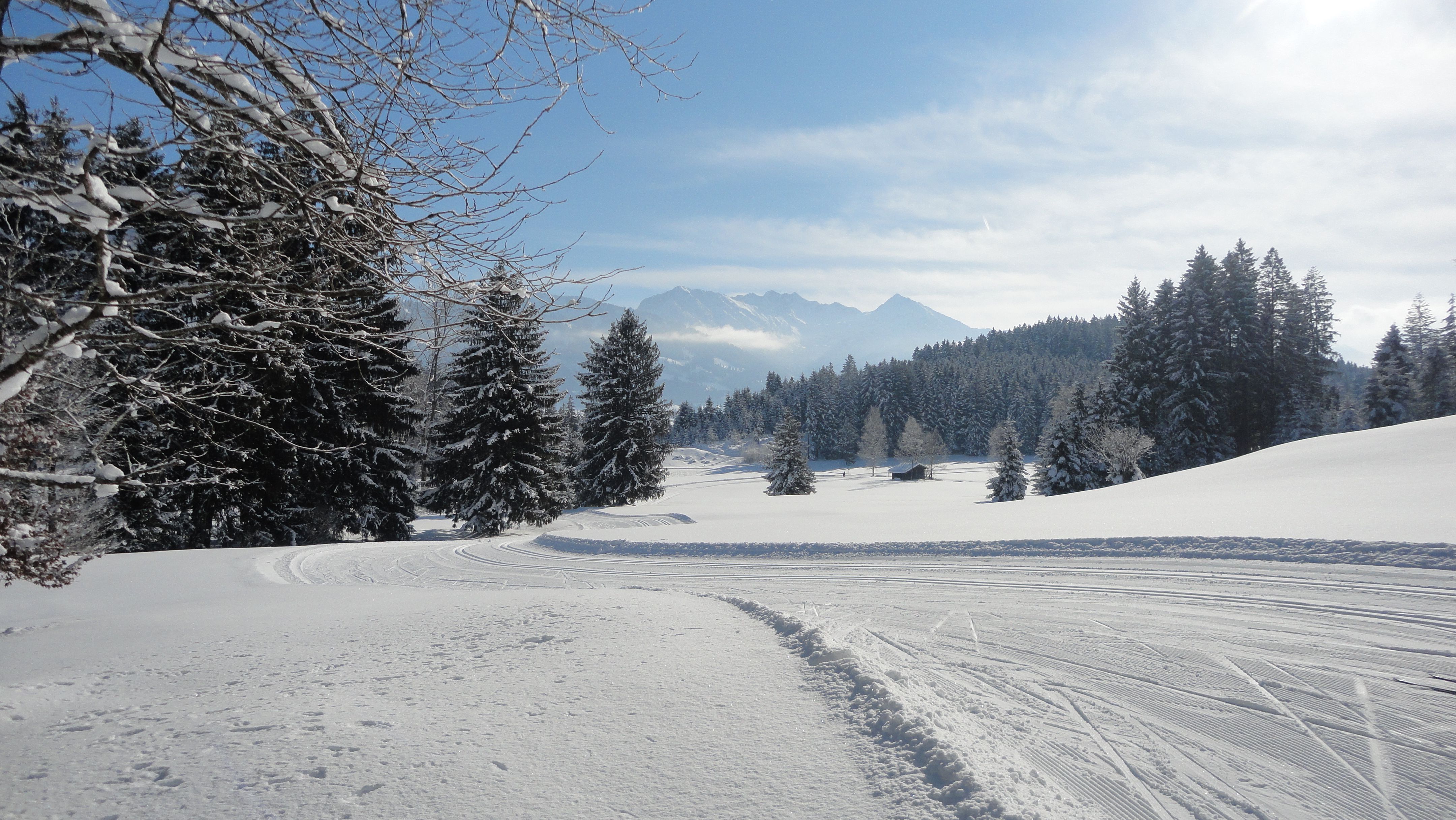 Verschneite Landschaft am Tiefenberger Moos