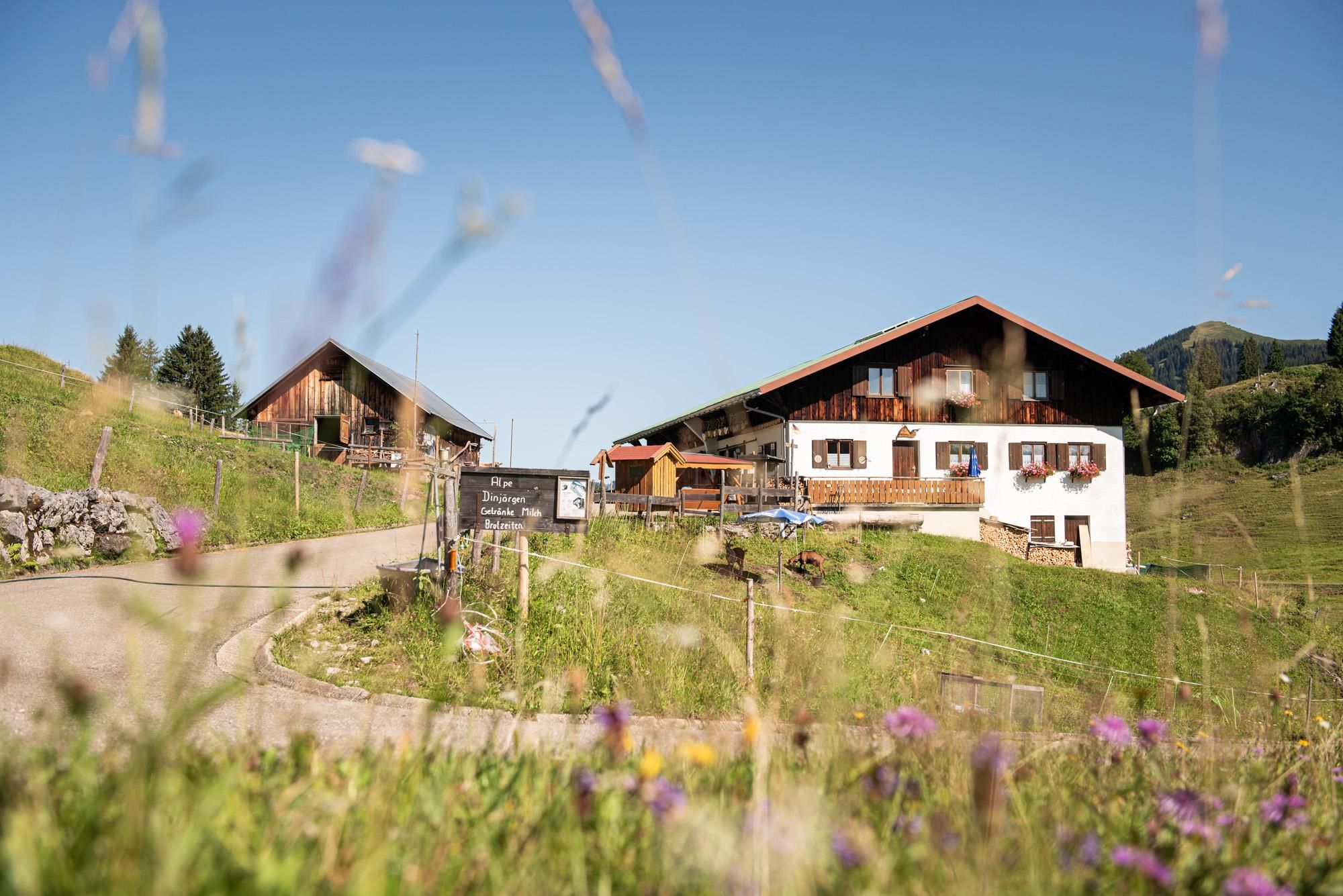 Ein malerisches Alphütte in einer grünen, hügeligen Landschaft. Die Sonne scheint, und bunte Blumen blühen im Vordergrund.