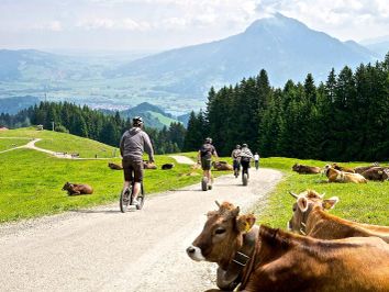 Downhill Roller in Ofterschwang im Allgäu