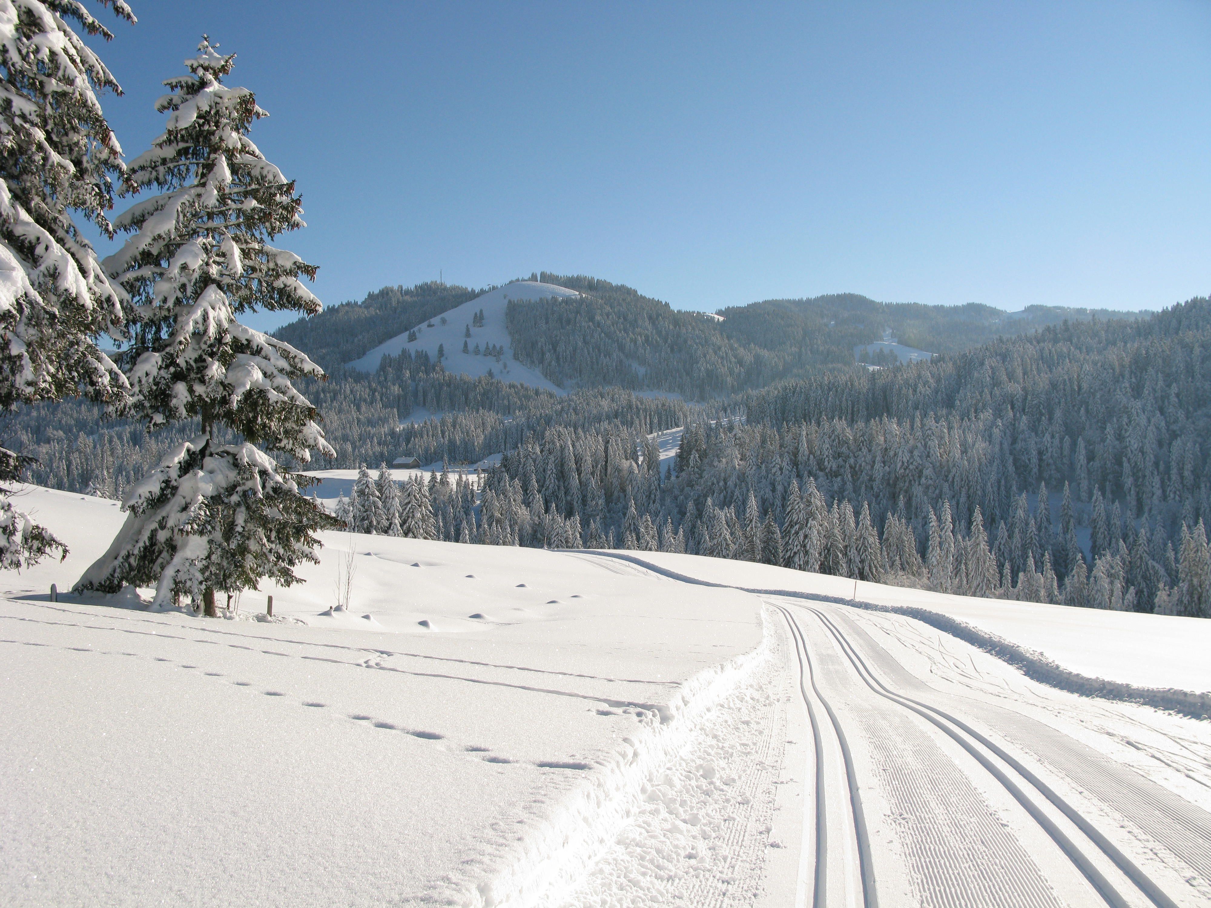 Frisch gespurte Loipe in Balderschwanger Winterlandschaft