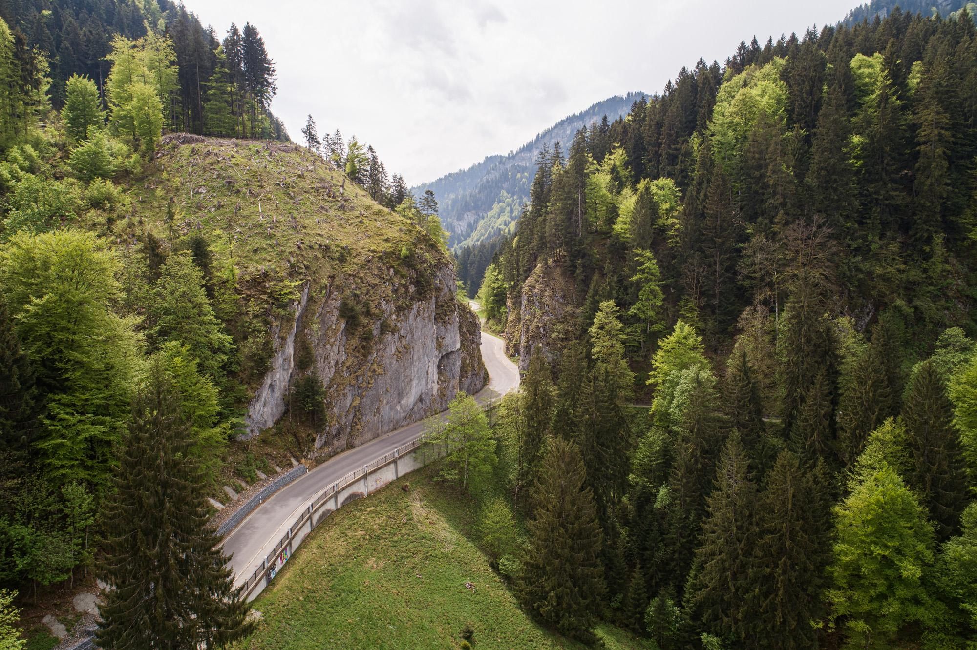 Eine kurvenreiche Straße führt durch eine grüne Waldlandschaft. Hohe Berge und dichte Bäume umgeben die Szenerie.