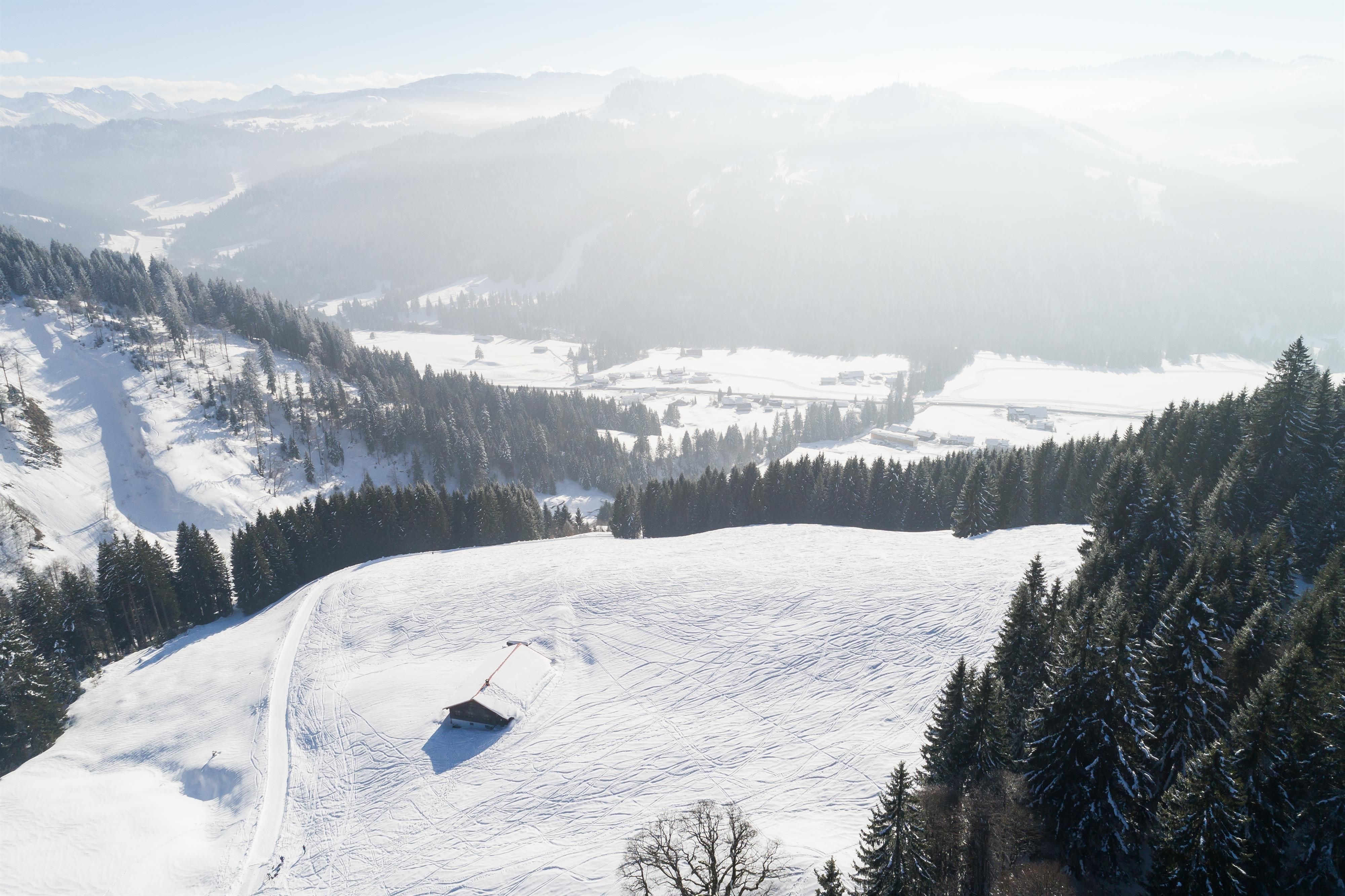 <p>Luftaufnahme in Balderschwang mit Blick auf die Flyschbergen, bedeckt mit Schnee und Nadelwäldern. Eine Alpe steht auf einer verschneiten Wiese.</p>