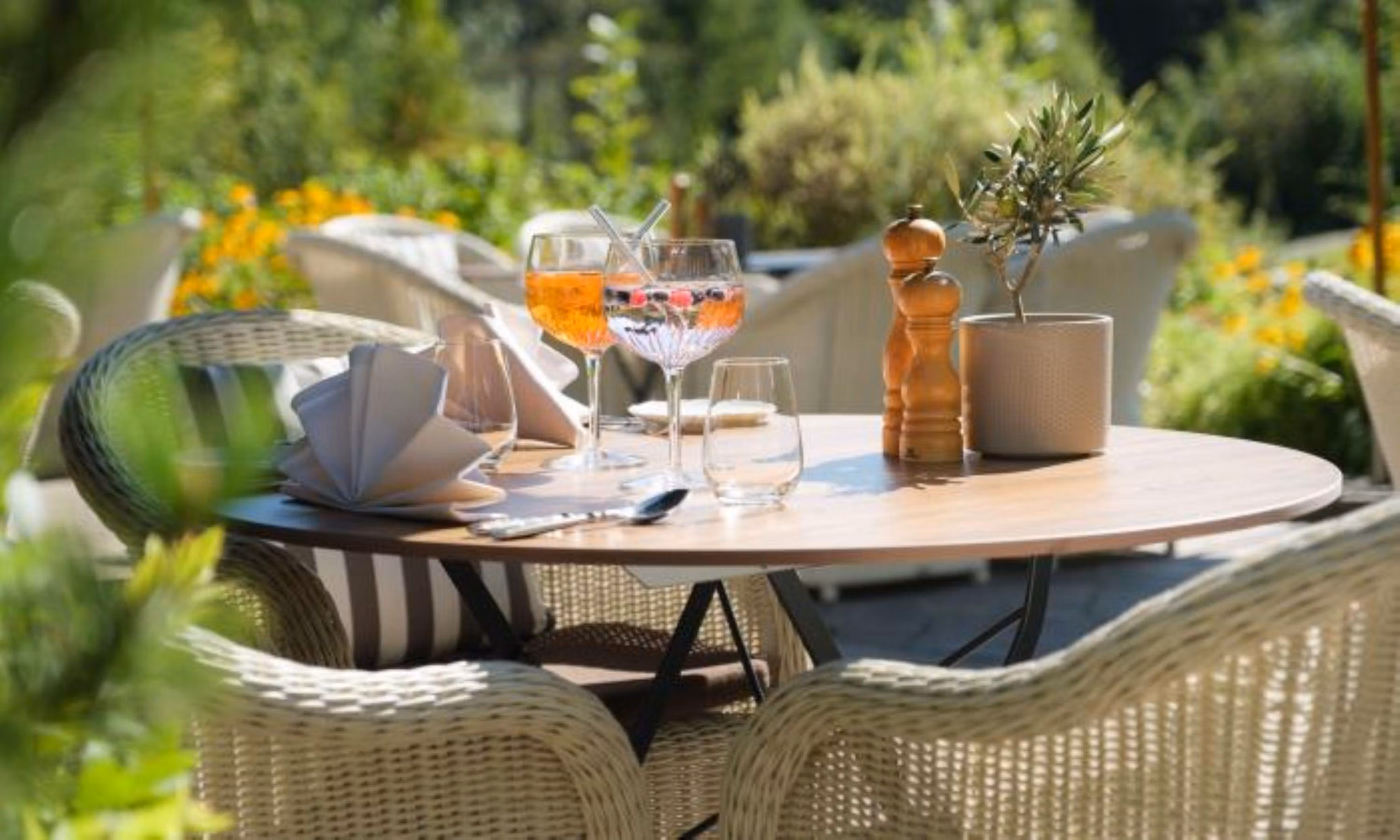 Gedeckter Tisch im Grünen.